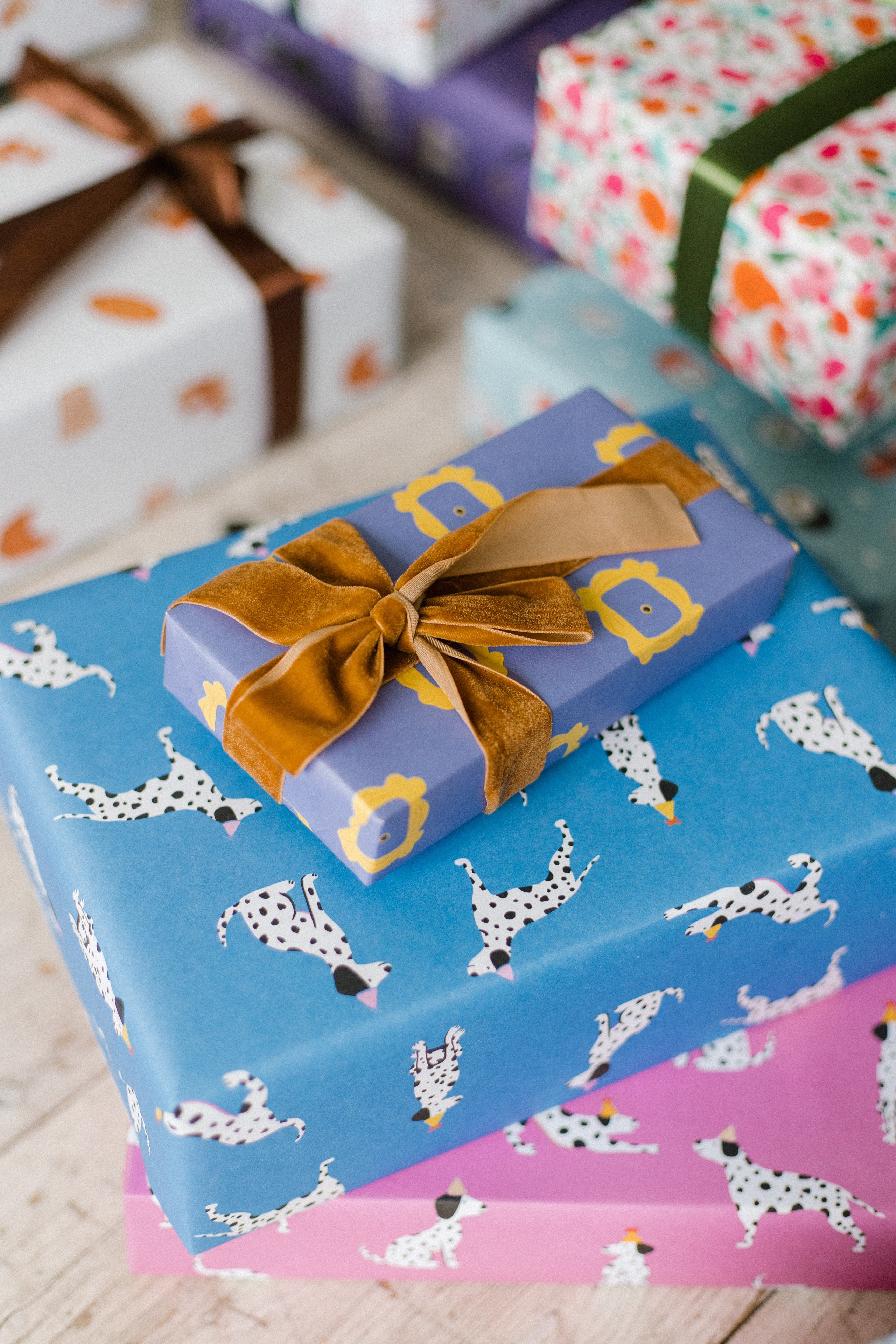 Duet.Pet. Фотограф в Москве Виктория Губина