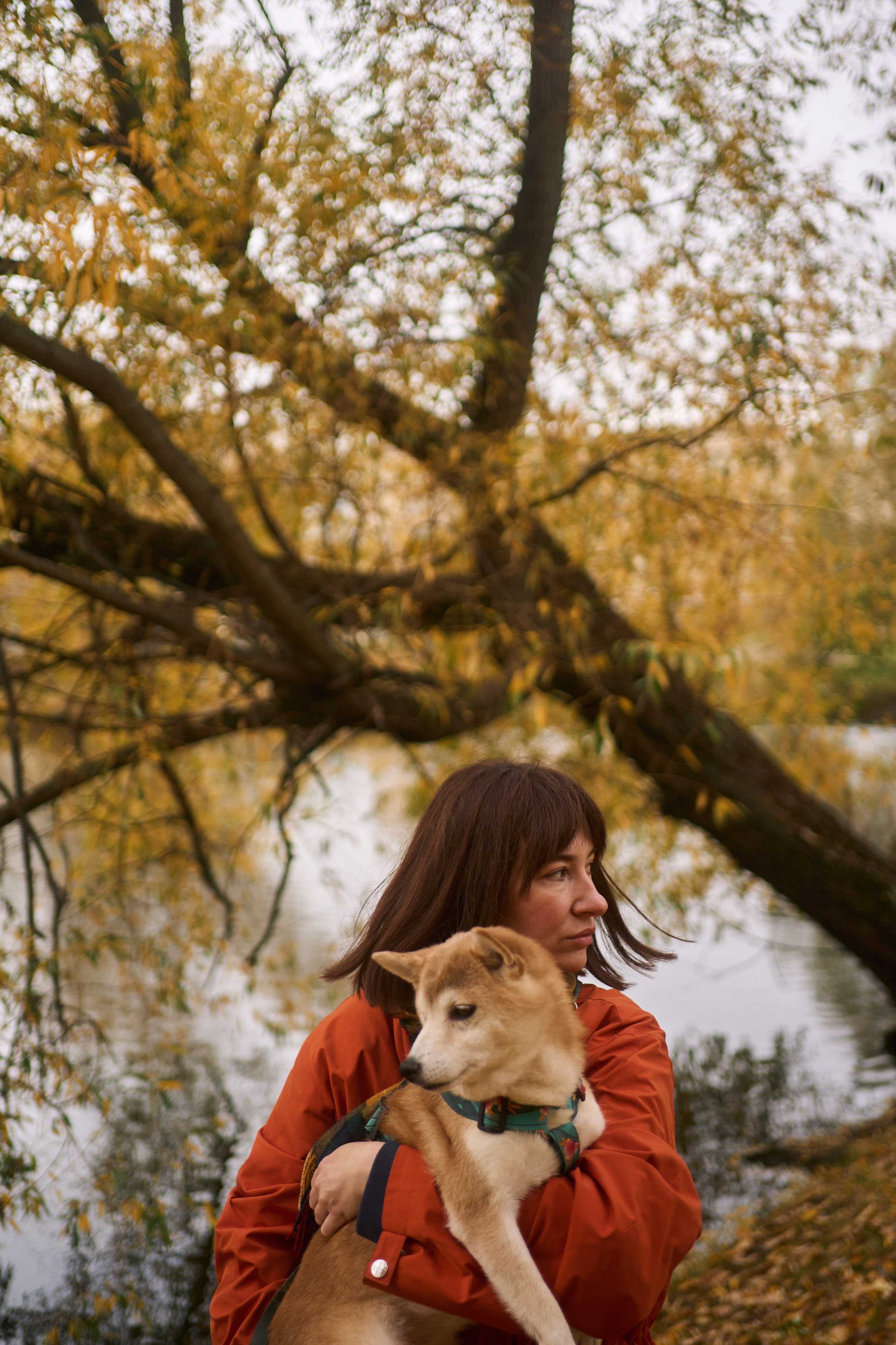 Осенние Уши. Фотограф анималист Москва Дарья