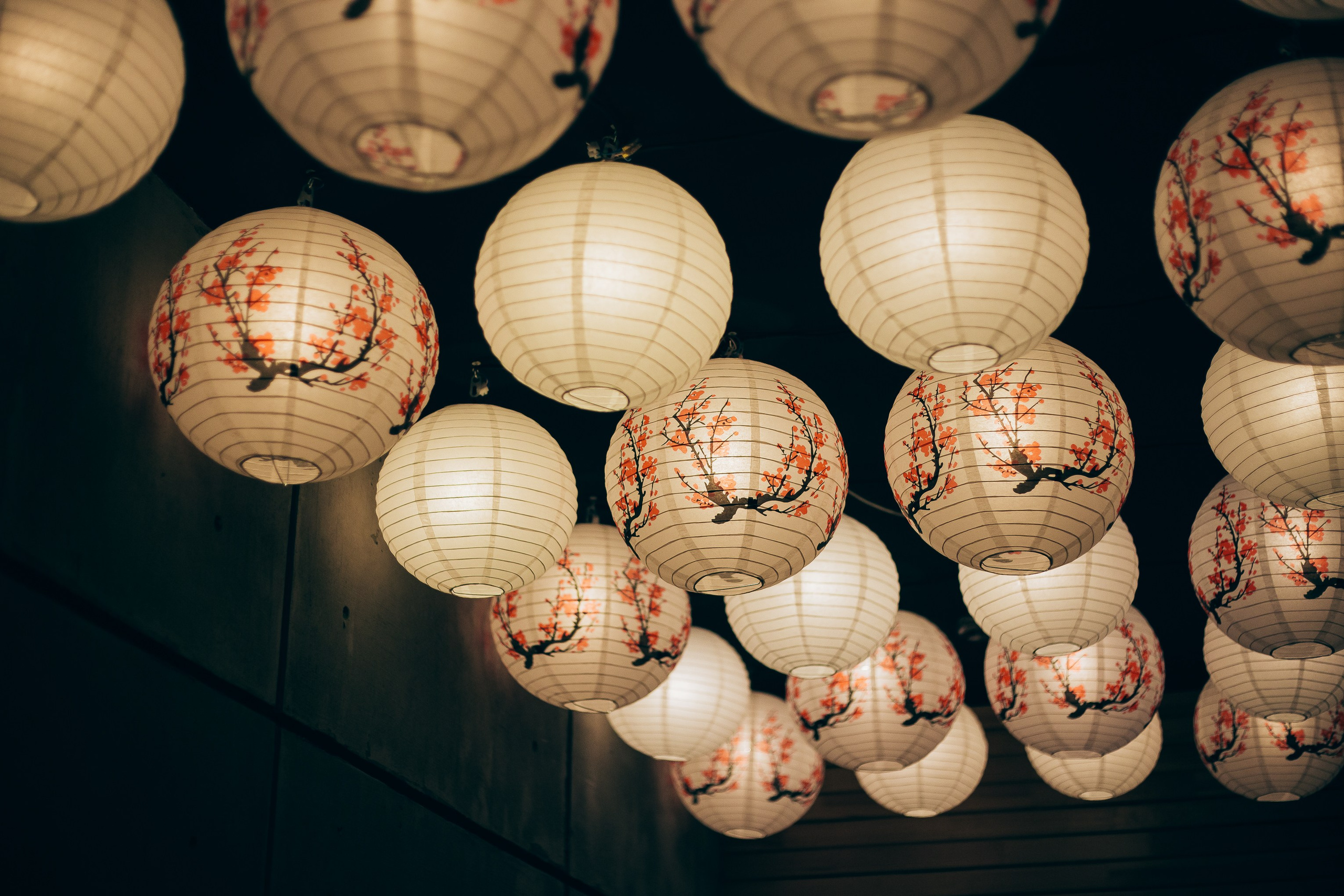 🏮. Фотограф Вика Про