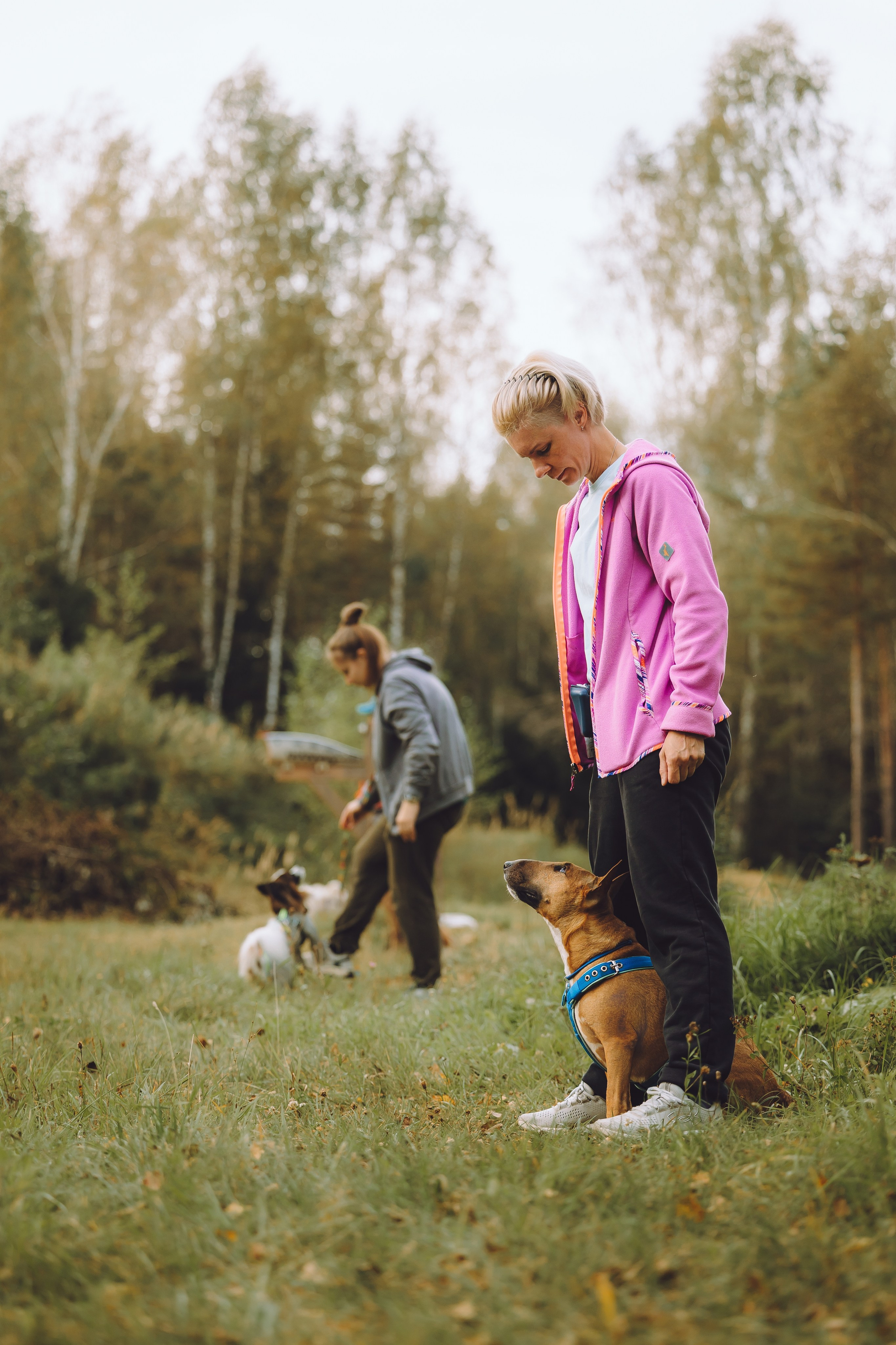 Выездной дог-тренинг от школы «Шерсть имею», Тованово