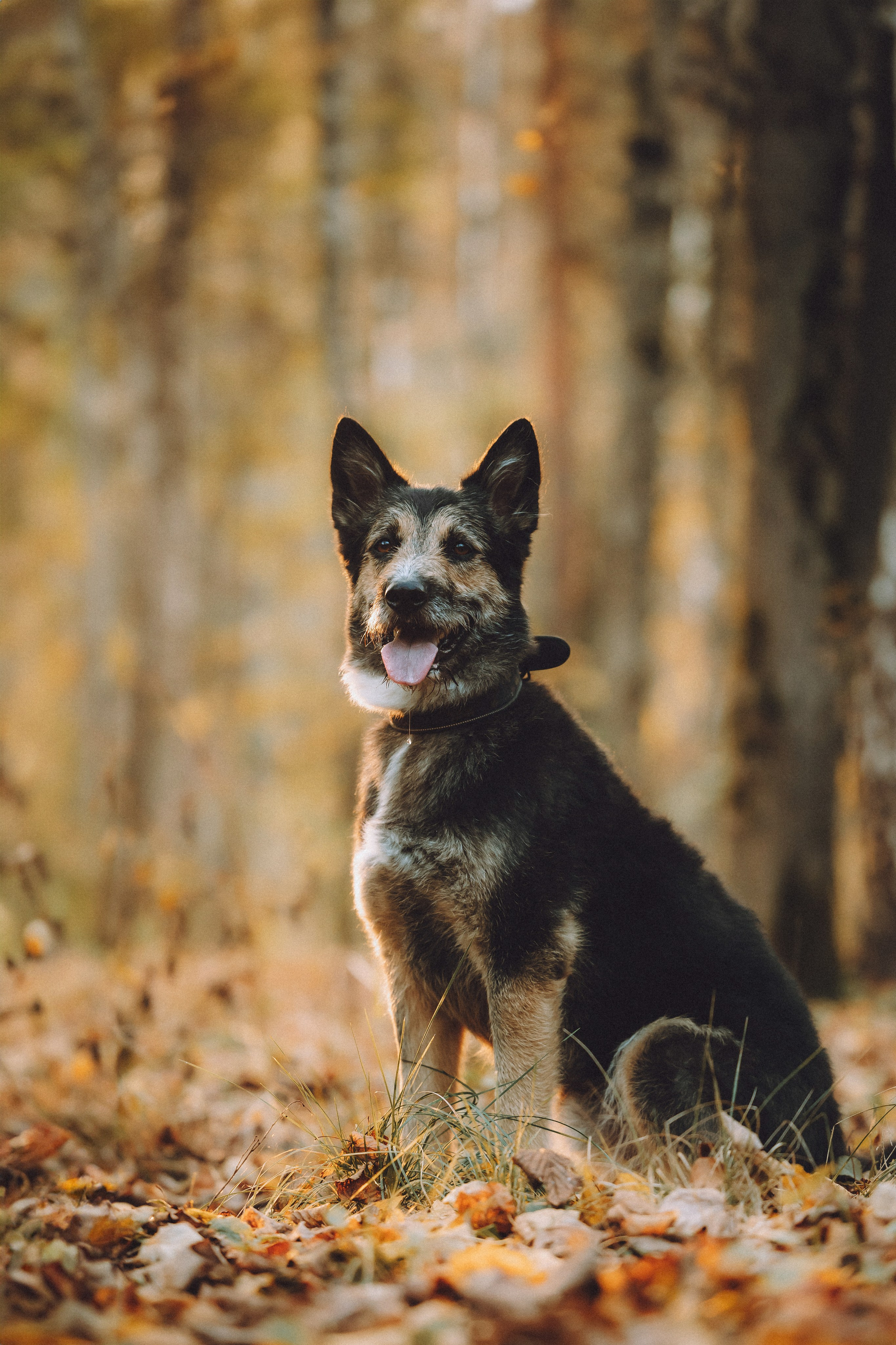 Рик, Джек и их семья