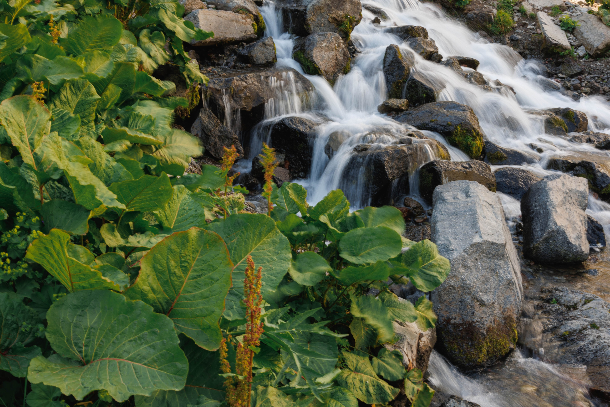 Путешествия. Фотограф в Москве Повеквечных Софья