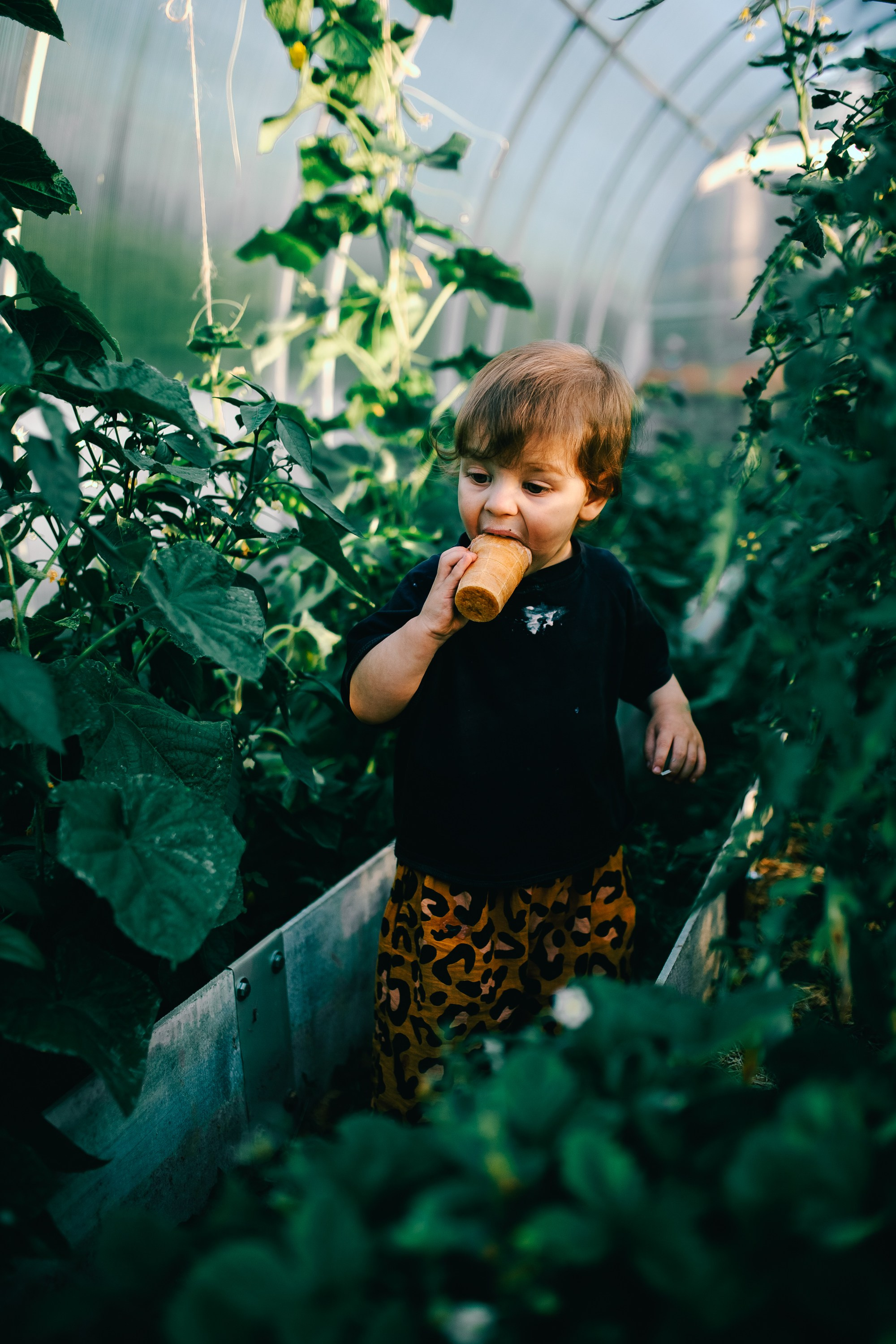 Зачем снимать детей?. Фотограф Оля Батист