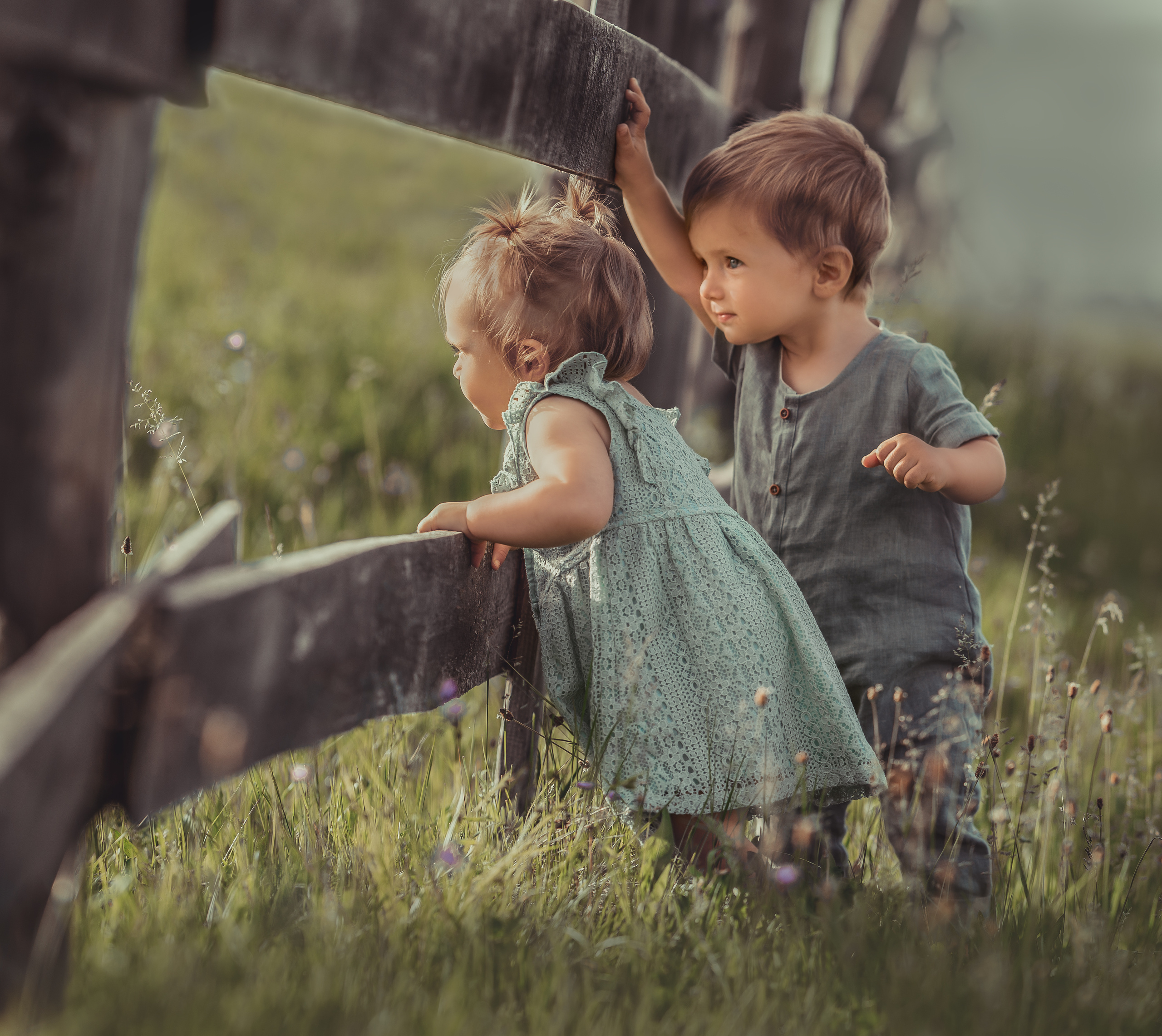 Портфолио. ОБУЧЕНИЕ ФОТОГРАФИИ И РЕТУШИ