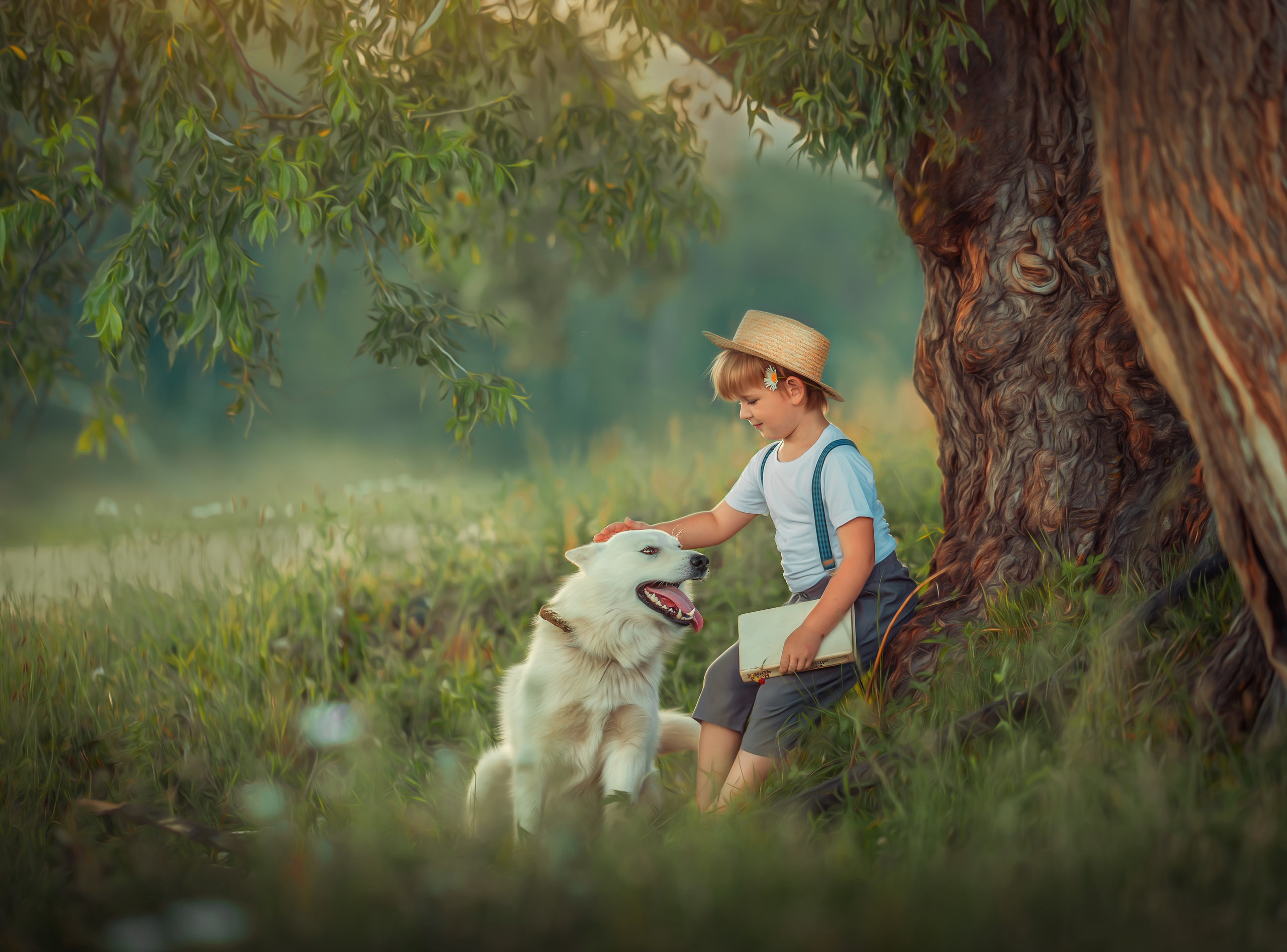 Портфолио. ОБУЧЕНИЕ ФОТОГРАФИИ И РЕТУШИ