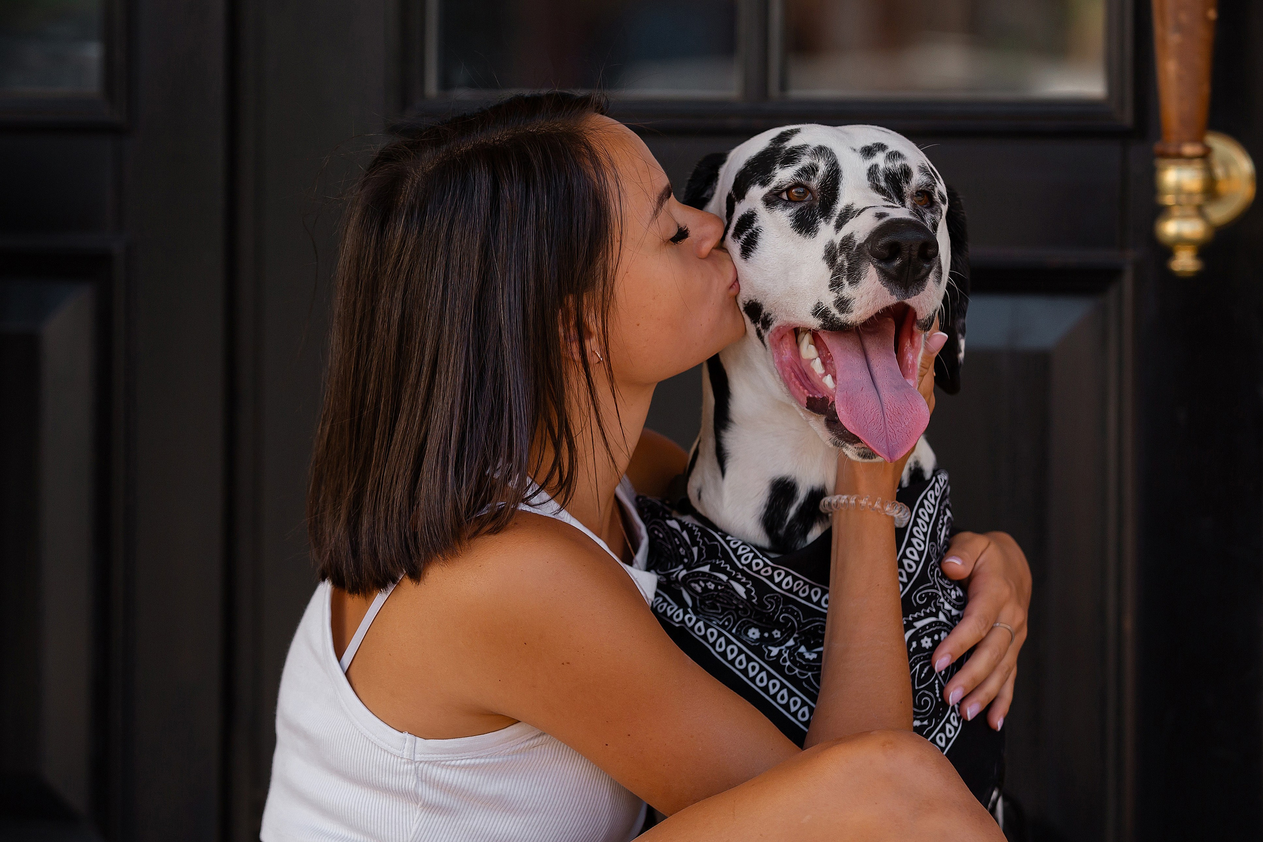 Далматин в Краснодаре. Фотограф-анималист в Краснодаре Маша Мельникова