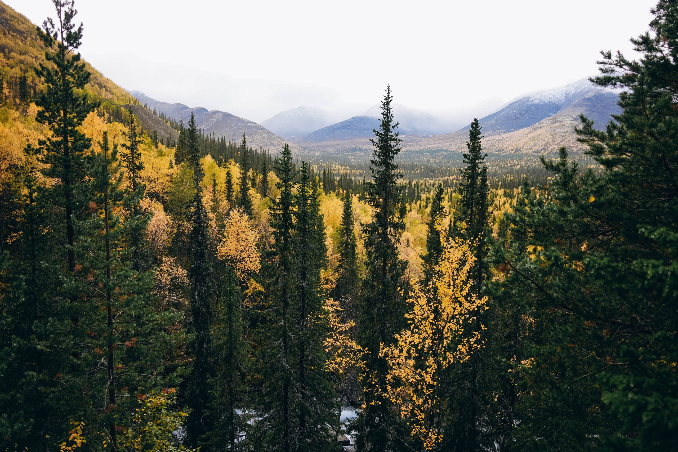 СЕВЕР. Event фотограф Степанова Александра