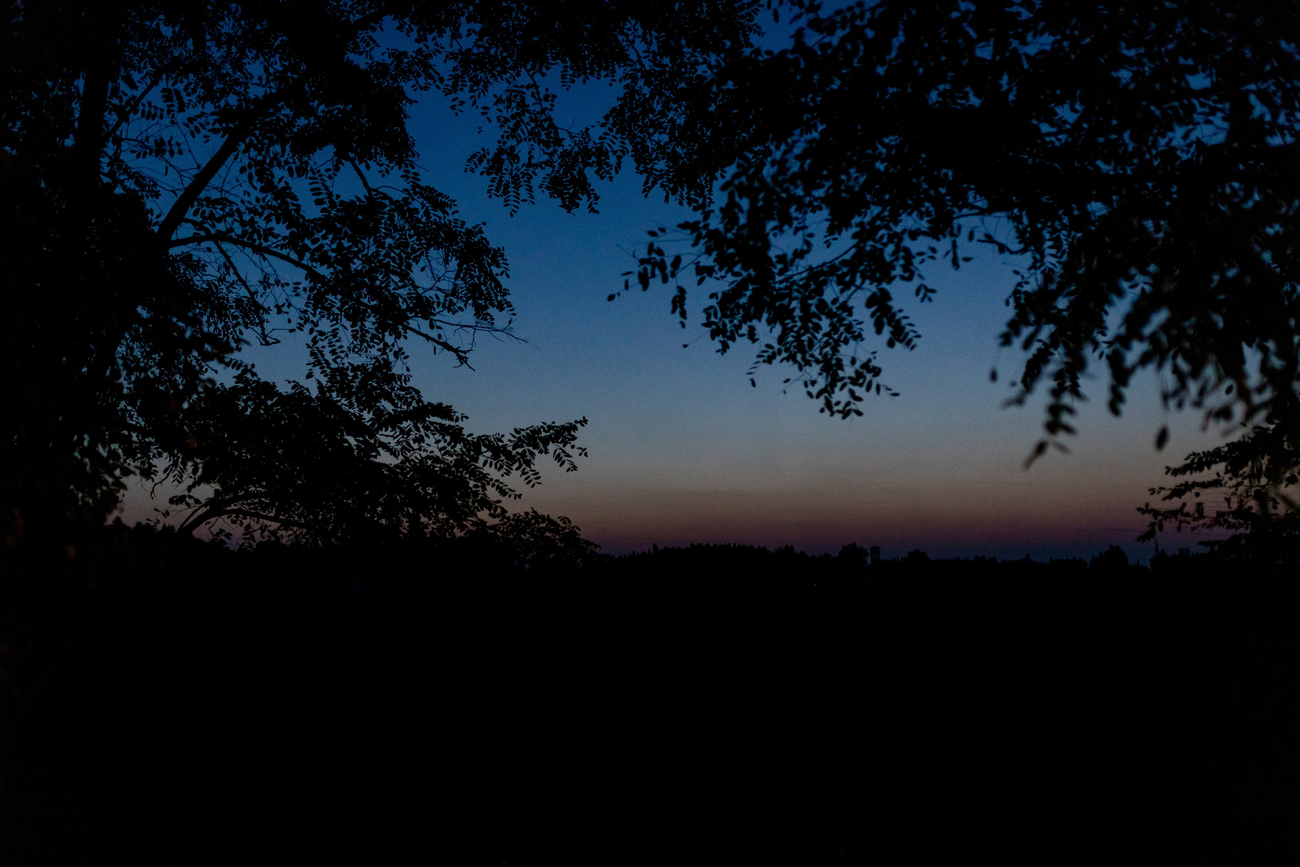 Виноградники. Dima Lemeshevsky