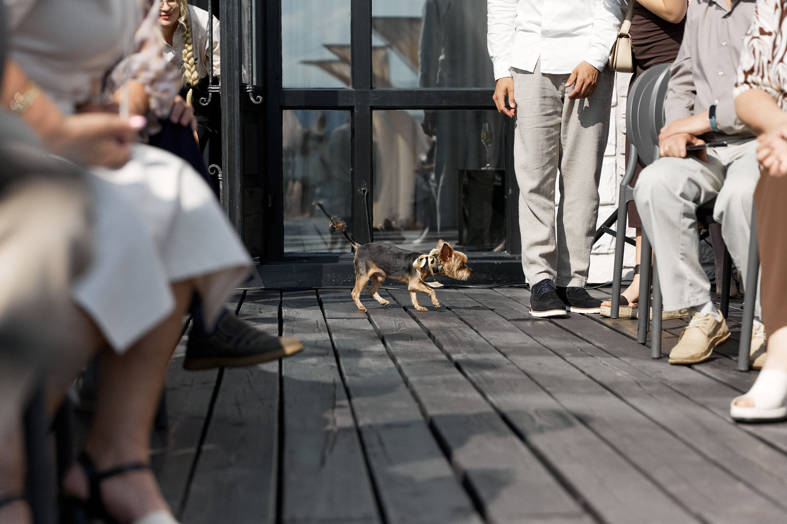 Посмотреть серию. Свадебный и семейный фотограф в Красноярске Тряпчев Павел