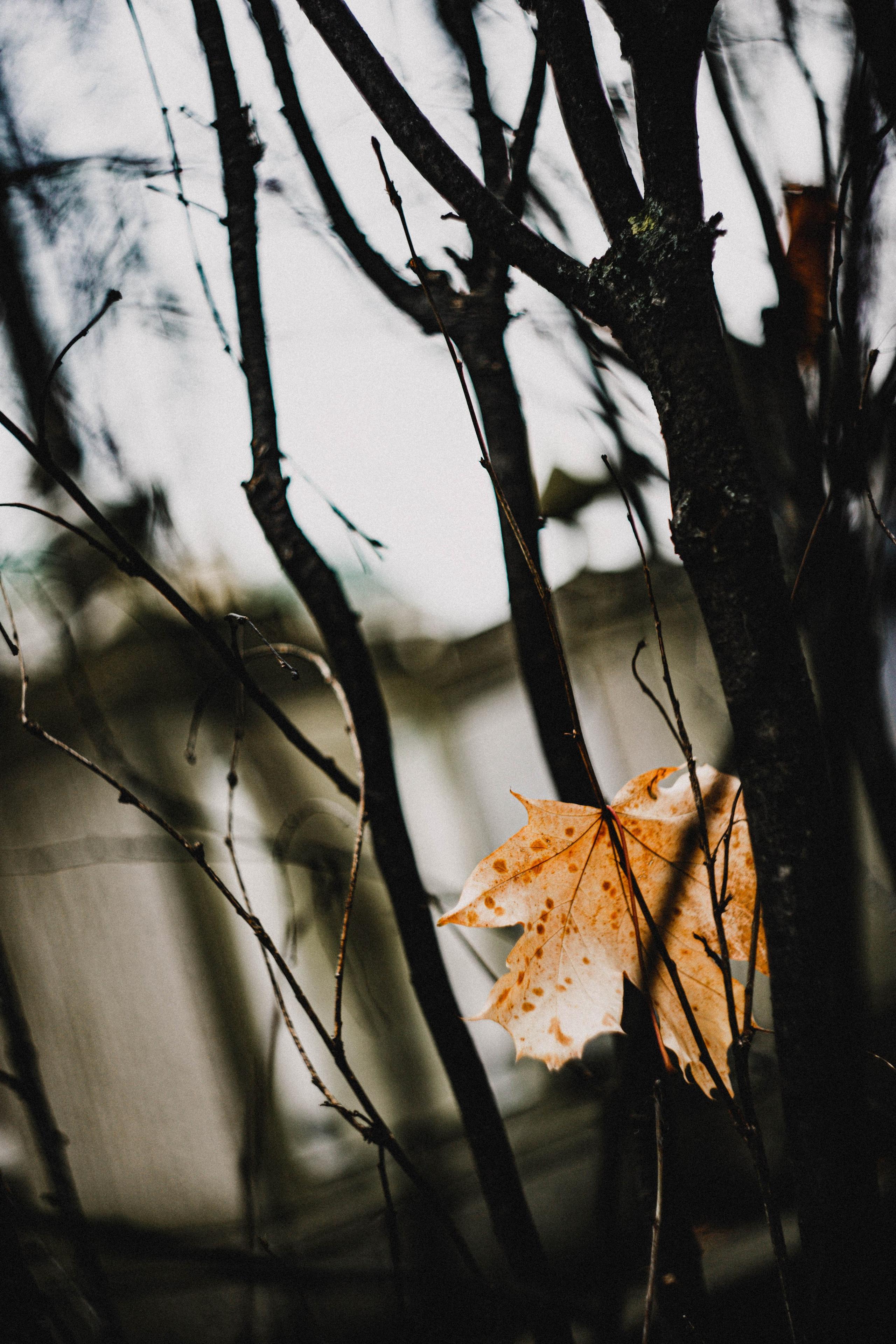 Питер / 24. Фотограф в Нижнем Новгороде