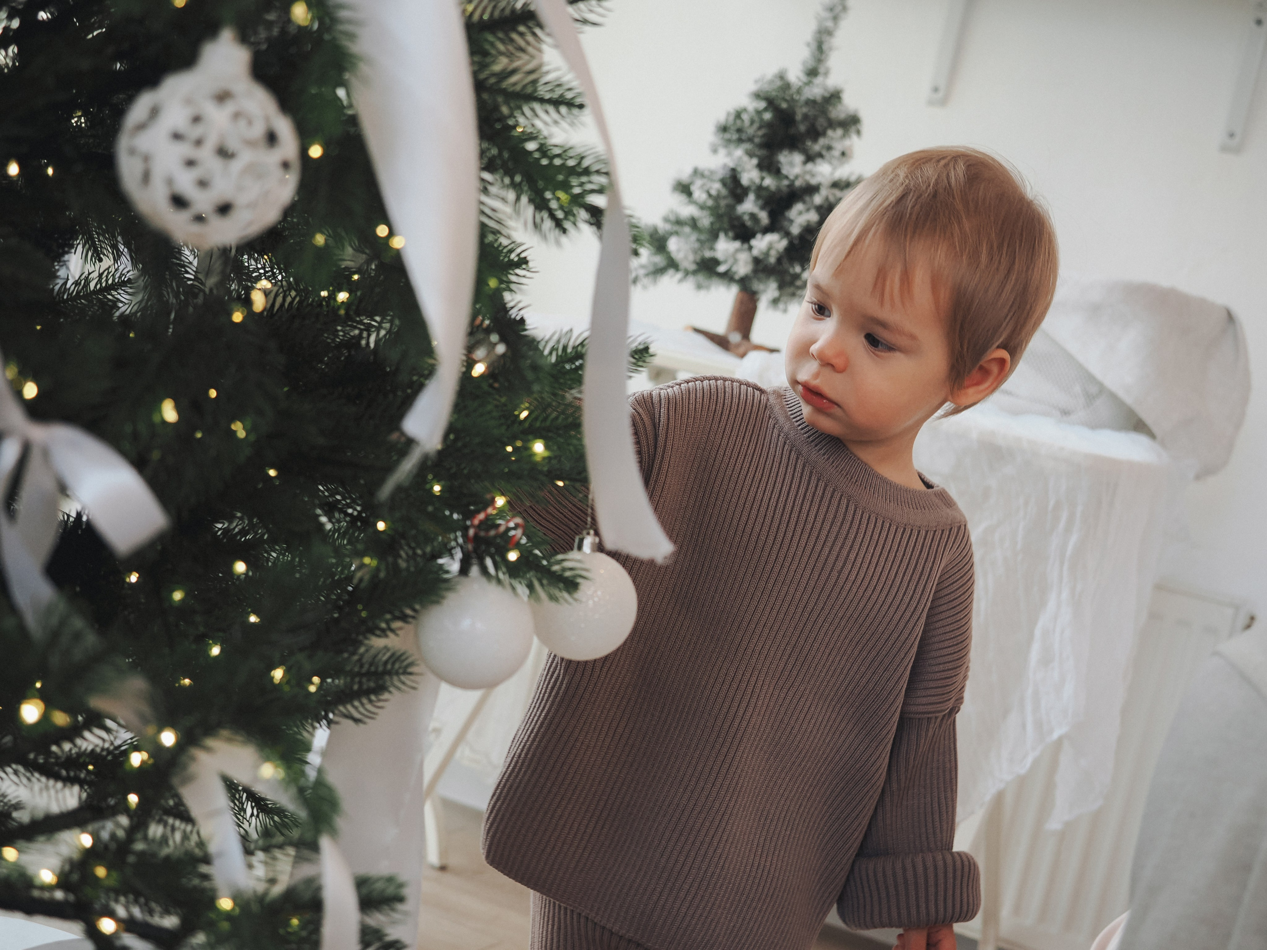 Женя с Новым годом!. Фотограф в Москве — Сергей Люкшинов