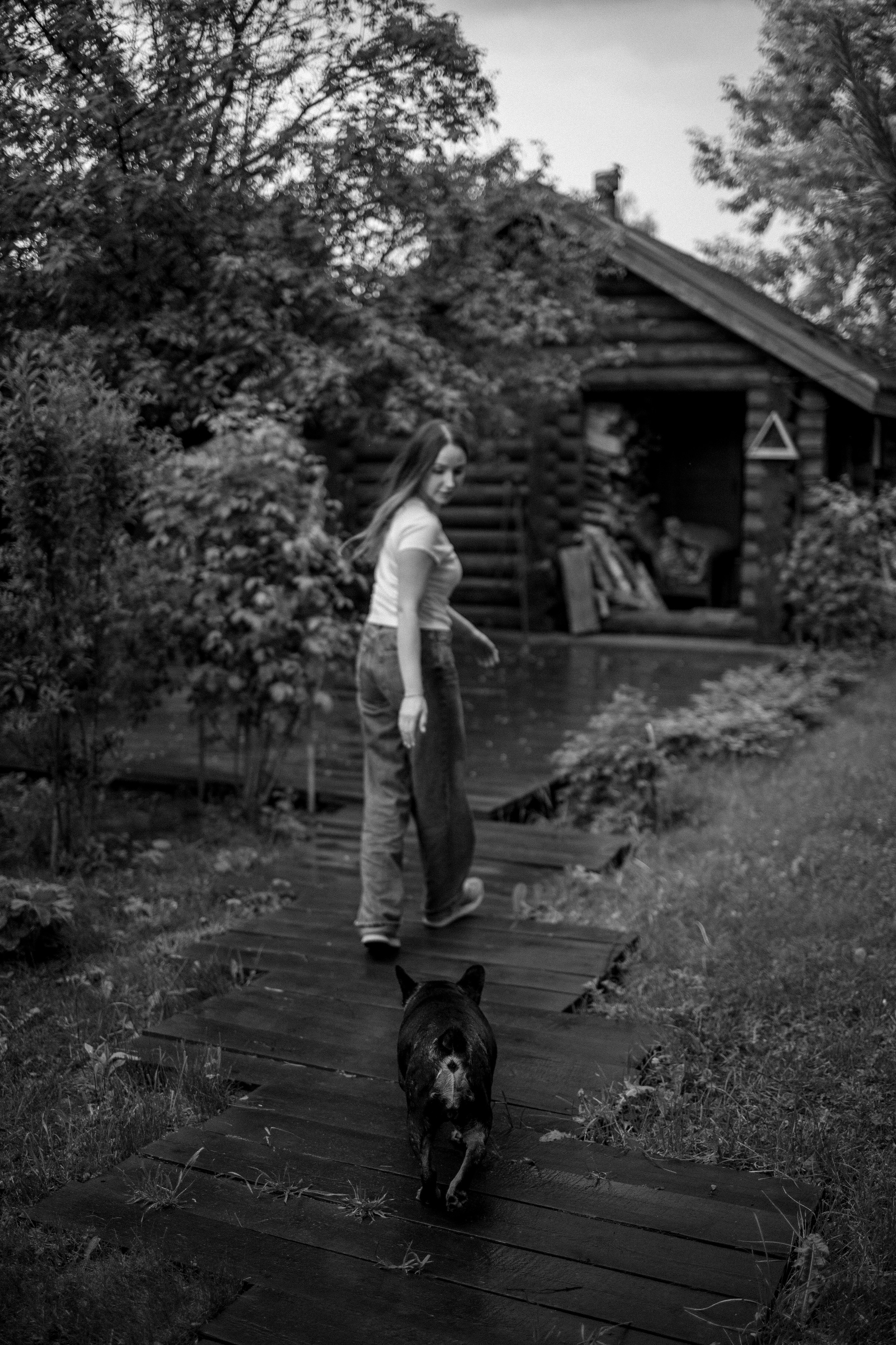 Софа и ее хвостики. Фотограф — Анималист | Санкт-Петербург