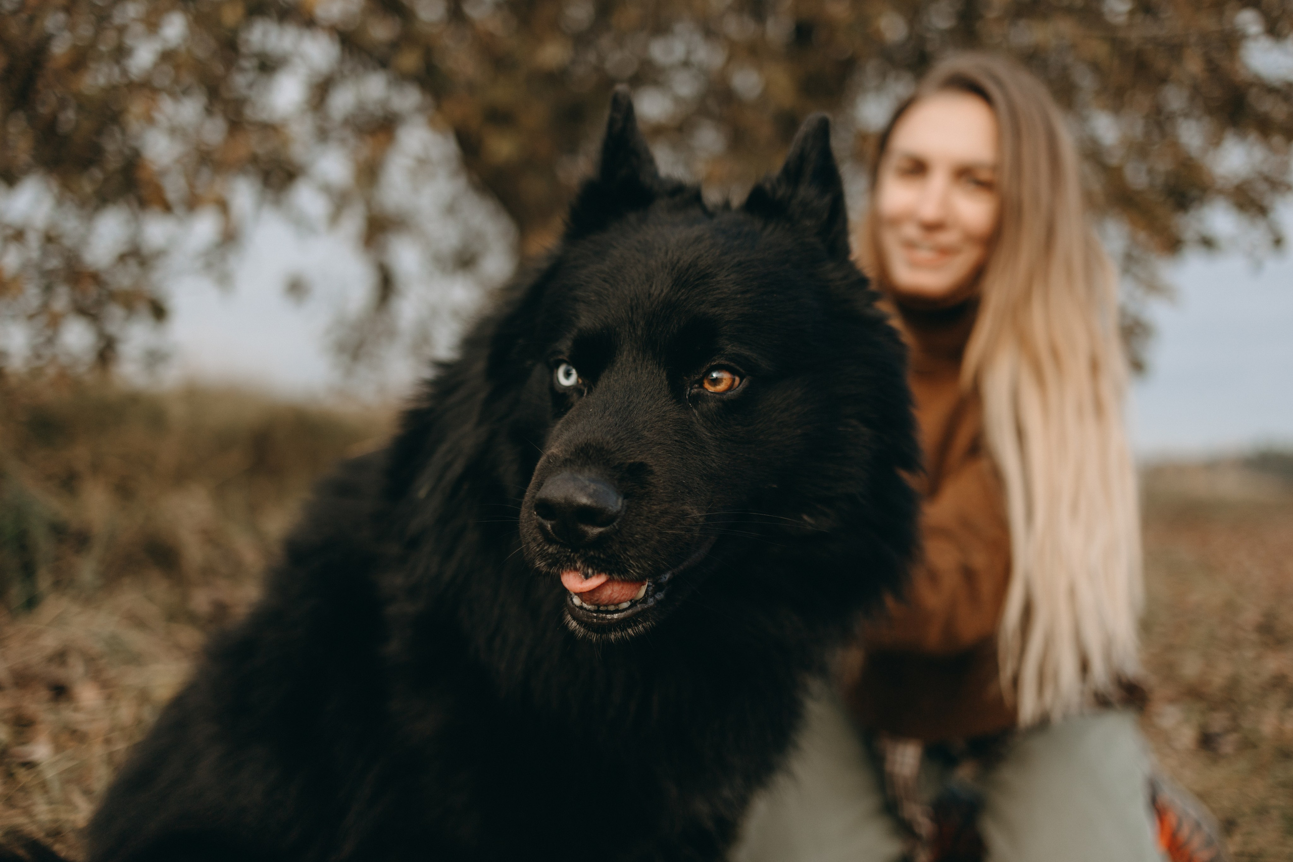 Лора и Джанго. Фотограф — Анималист | Санкт-Петербург