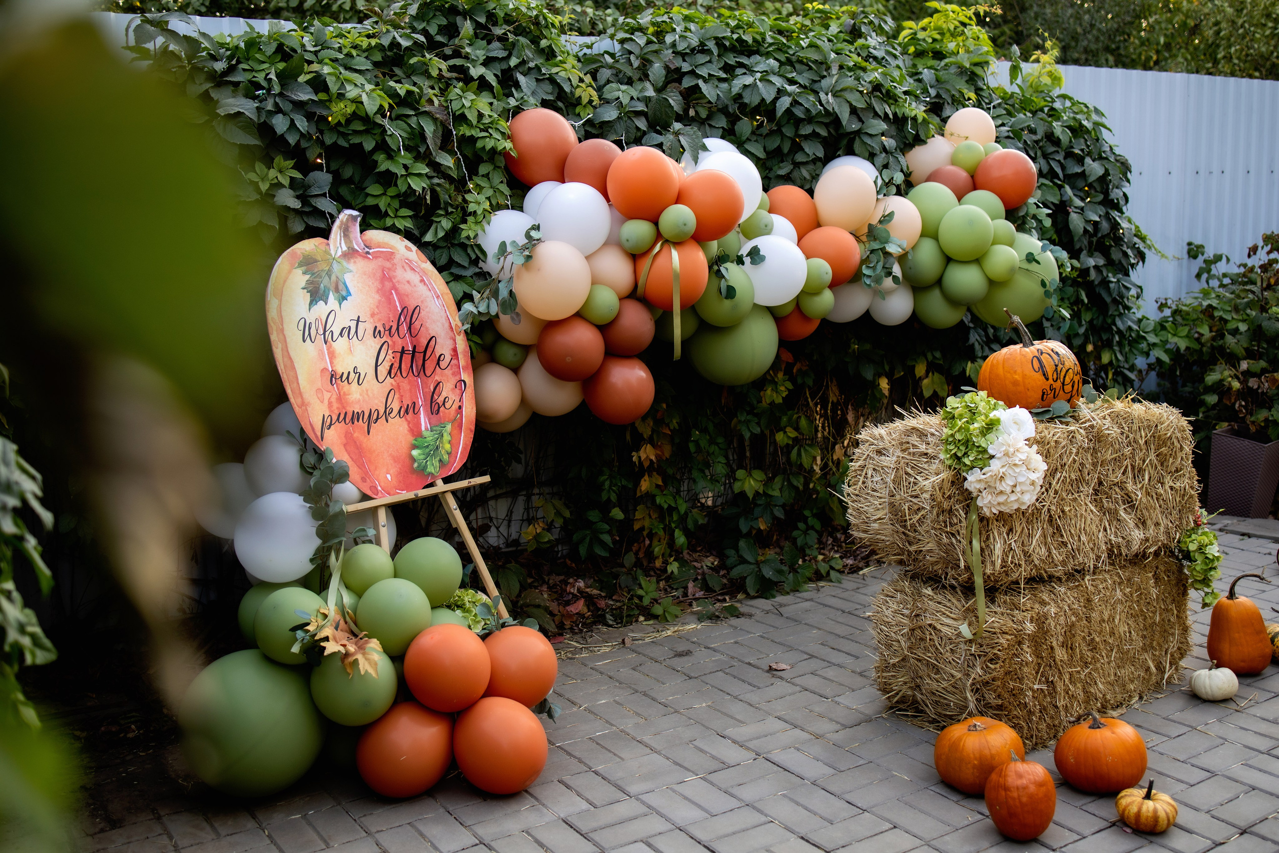 Гендер-Пати. Фотограф Надежда Лукьянова