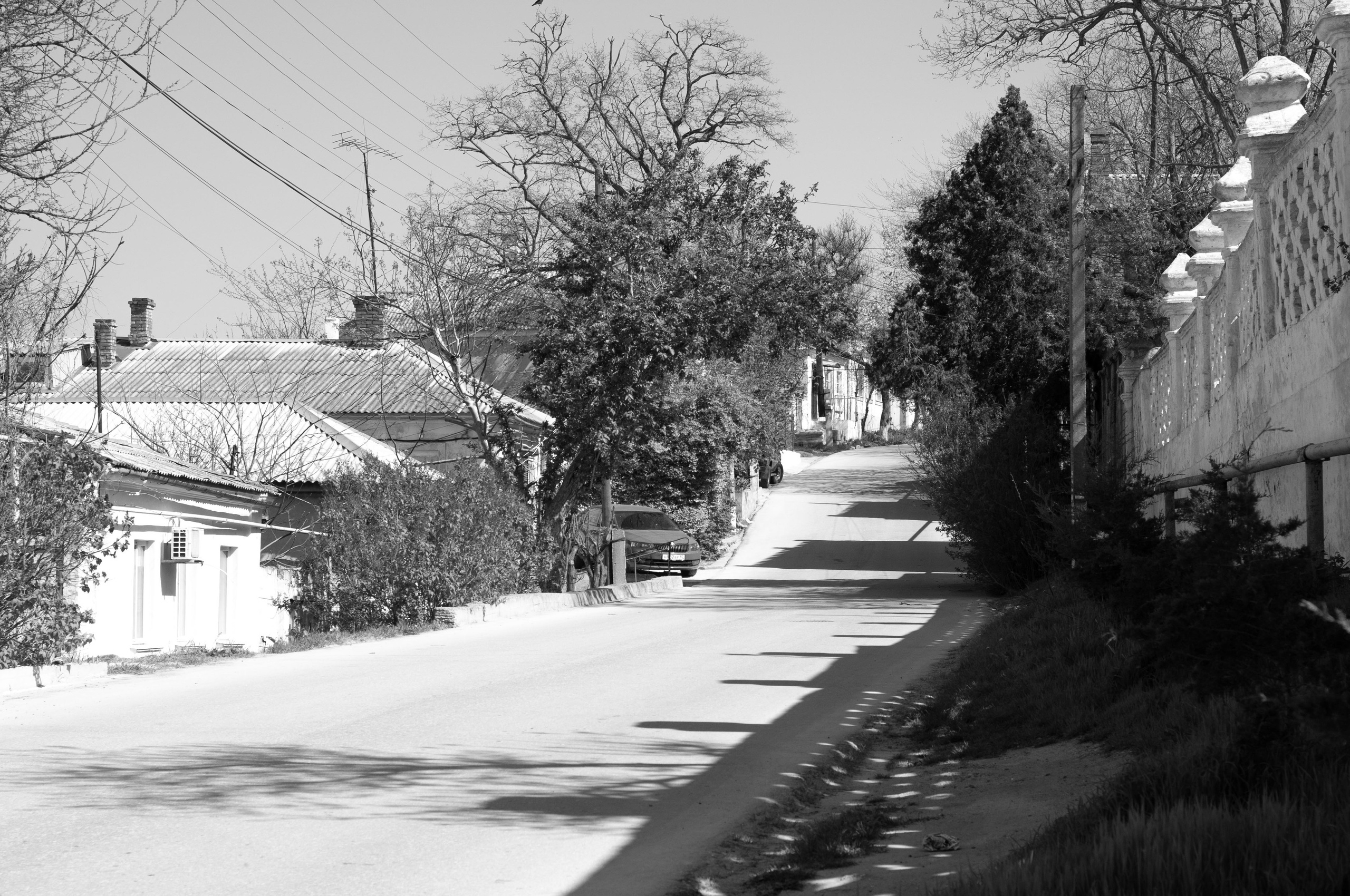 Для души. Сейчас вылетит ПТИЧКА! Фотосессии в Керчи