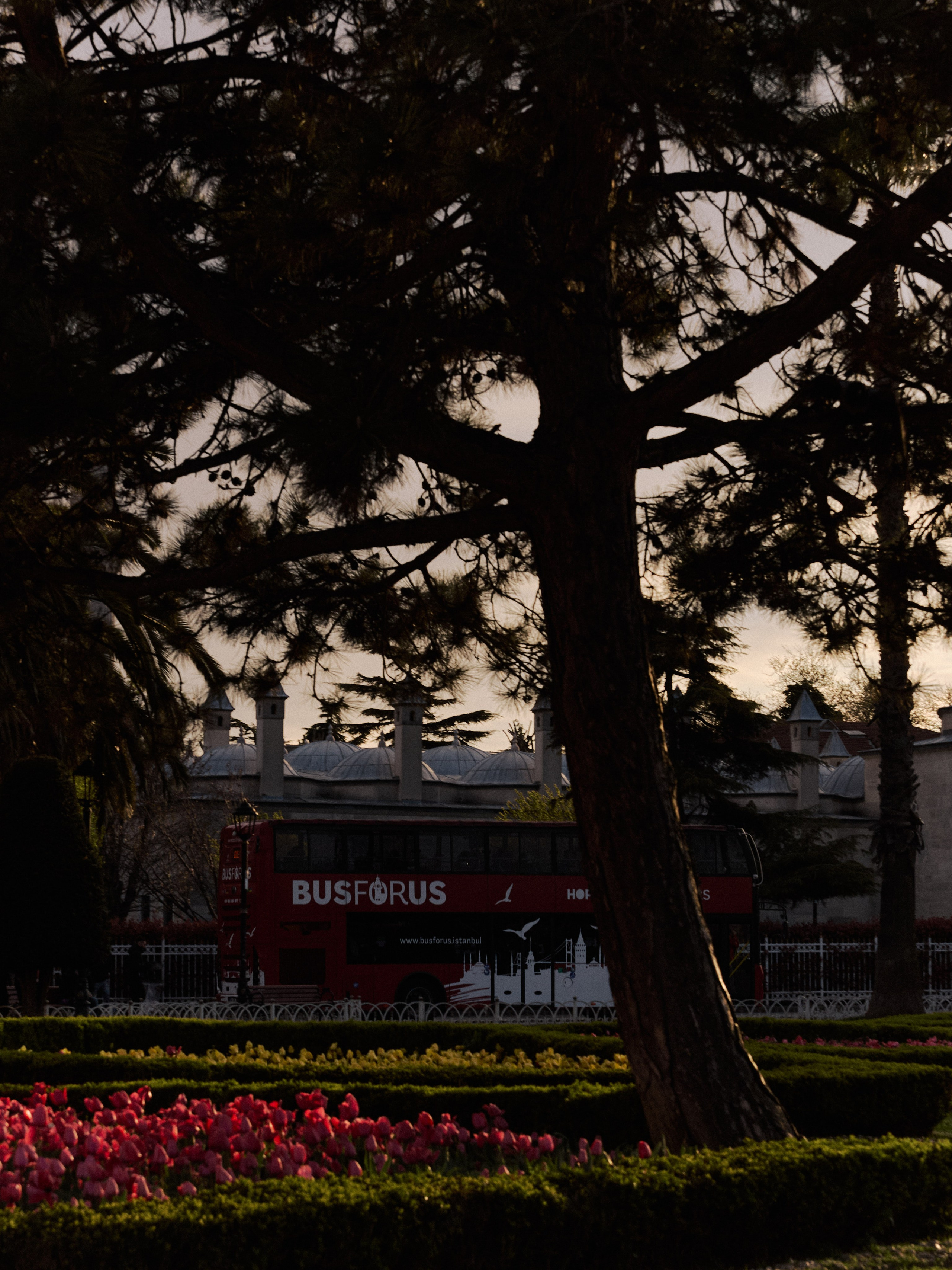 Диптих. Jorgis — фотограф в Хургаде / обучение фотографии