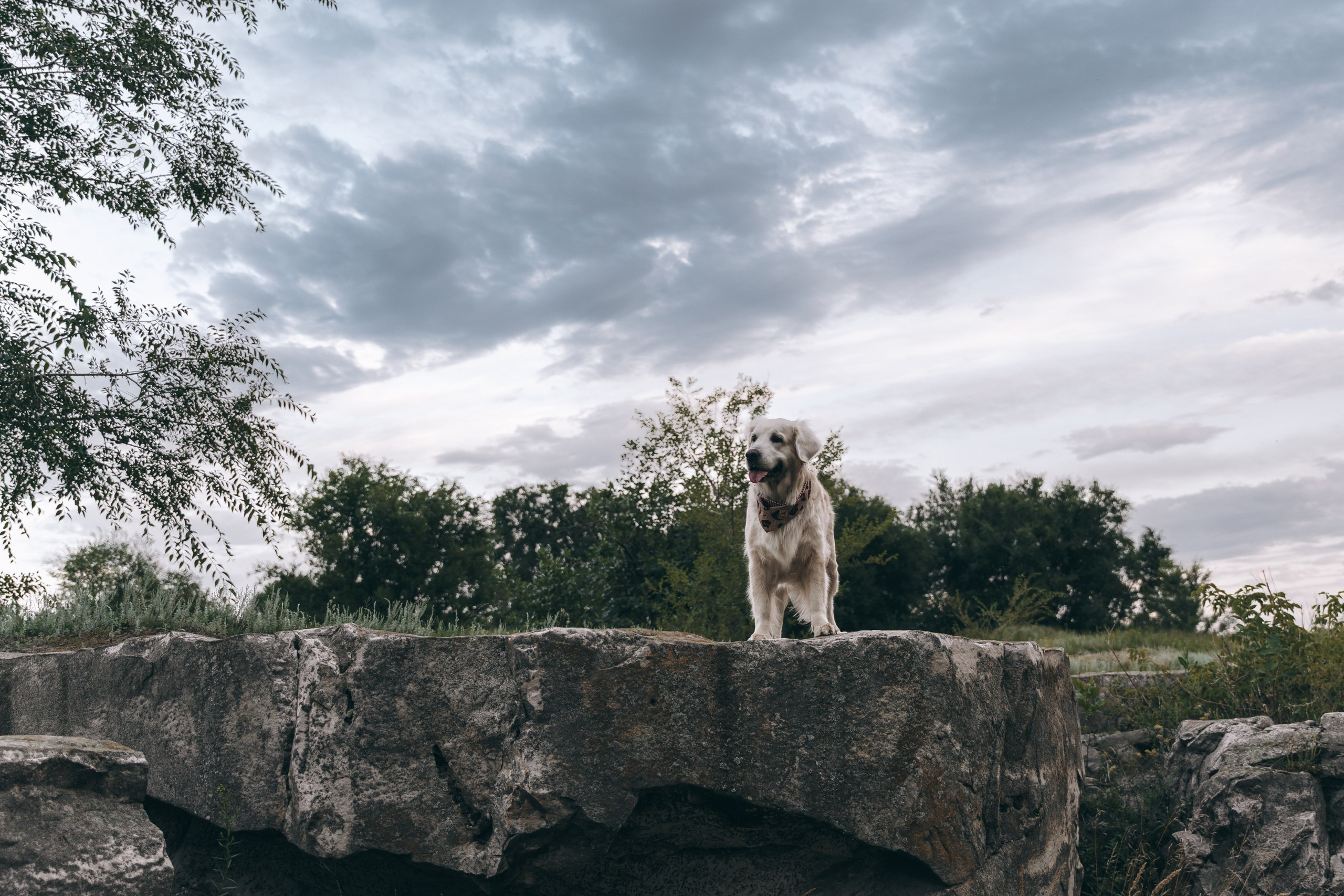 Ира и Барселона: история с кодовым названием «обложка VOGUE». Портретный и репортажный фотограф в Воронеже: Анастасия Пузикова