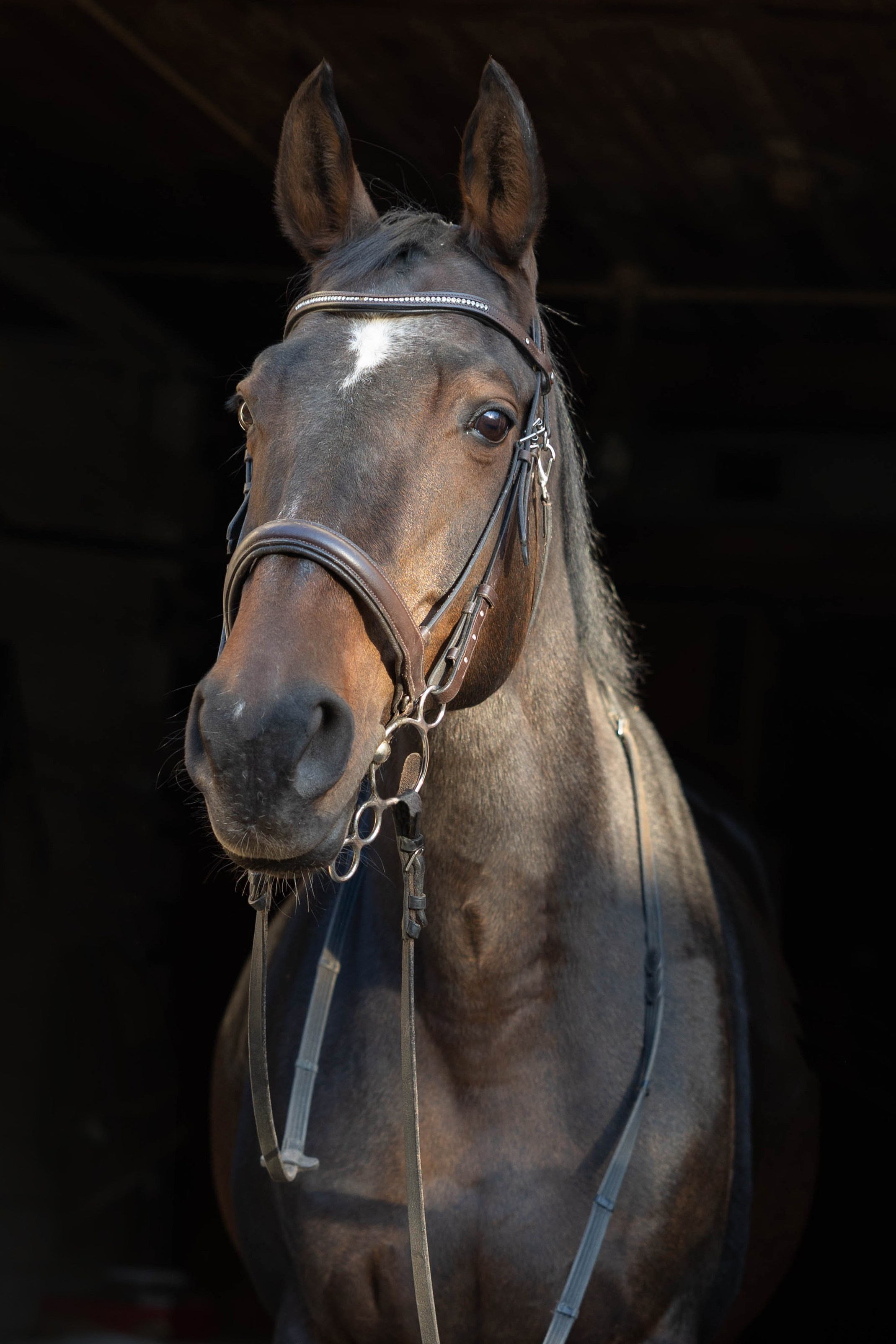 Elia. ITMAG.ME | Visual Art