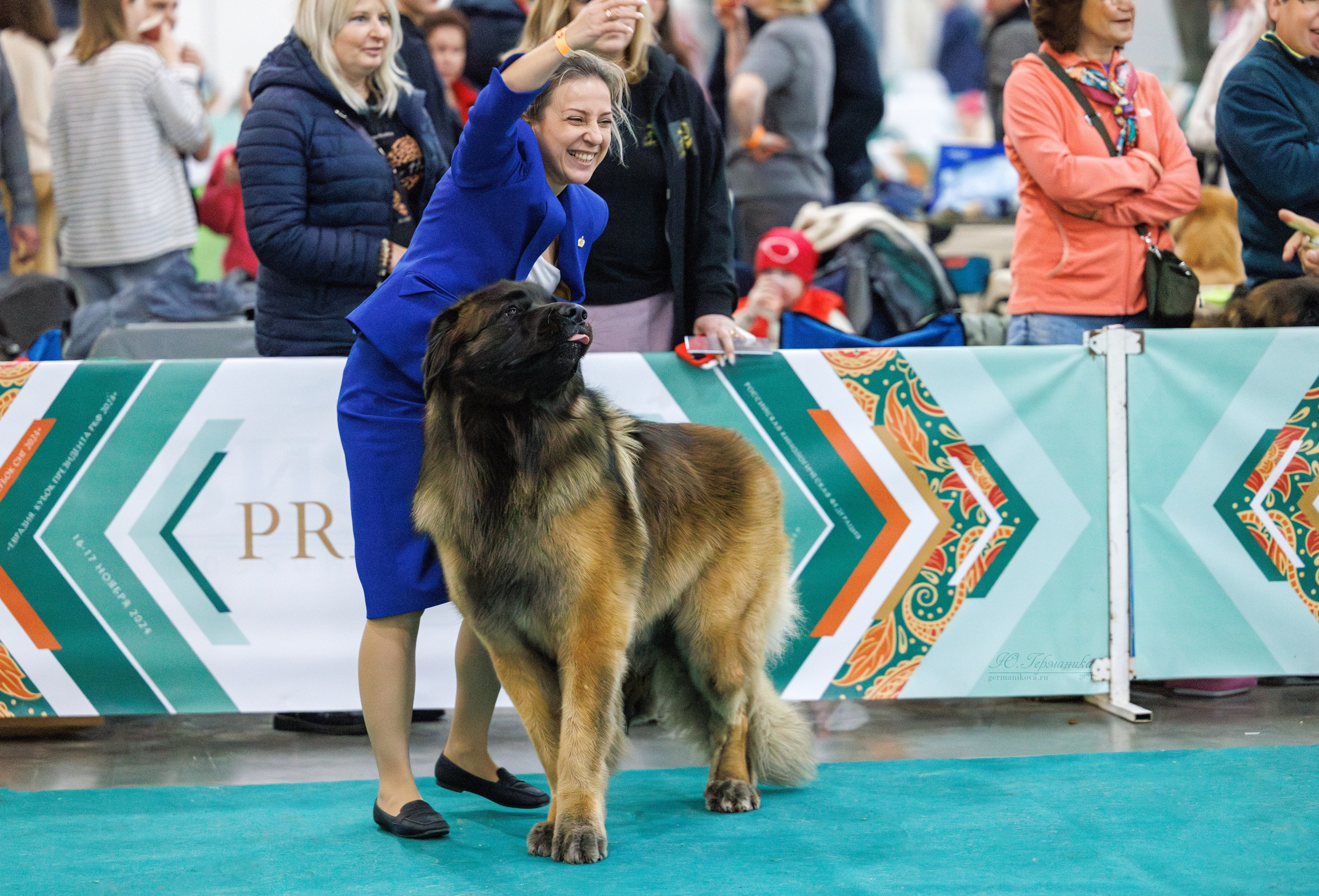 Евразия 16-17.11.2024. Фотограф-анималист Юлия Германика