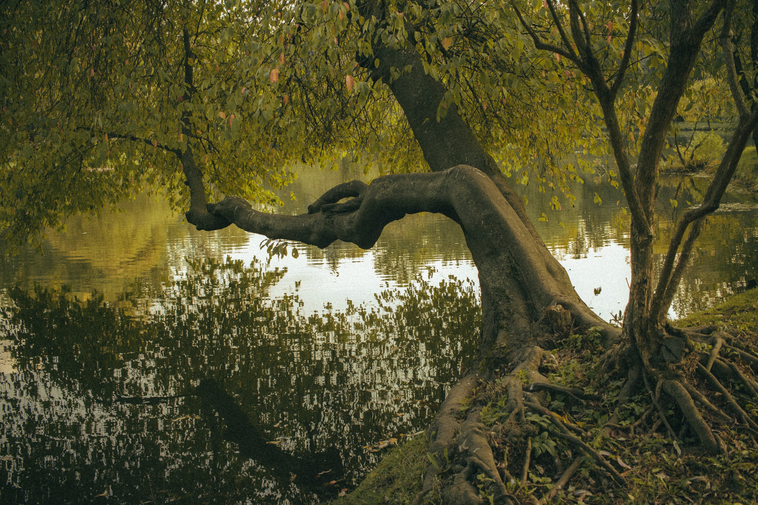 Осень. Портретный фотограф DanilNabody