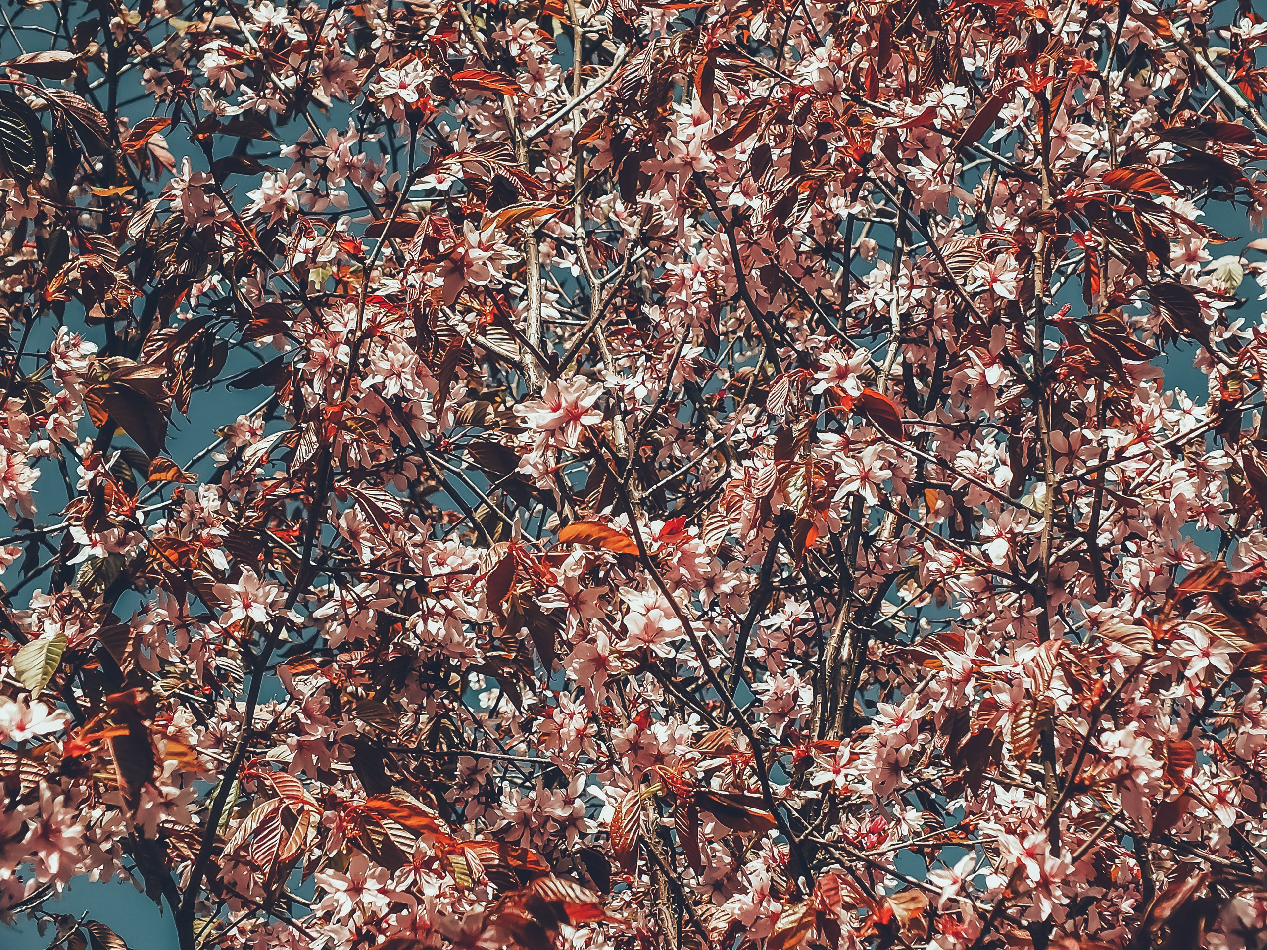 Fuji. Портретный фотограф DanilNabody