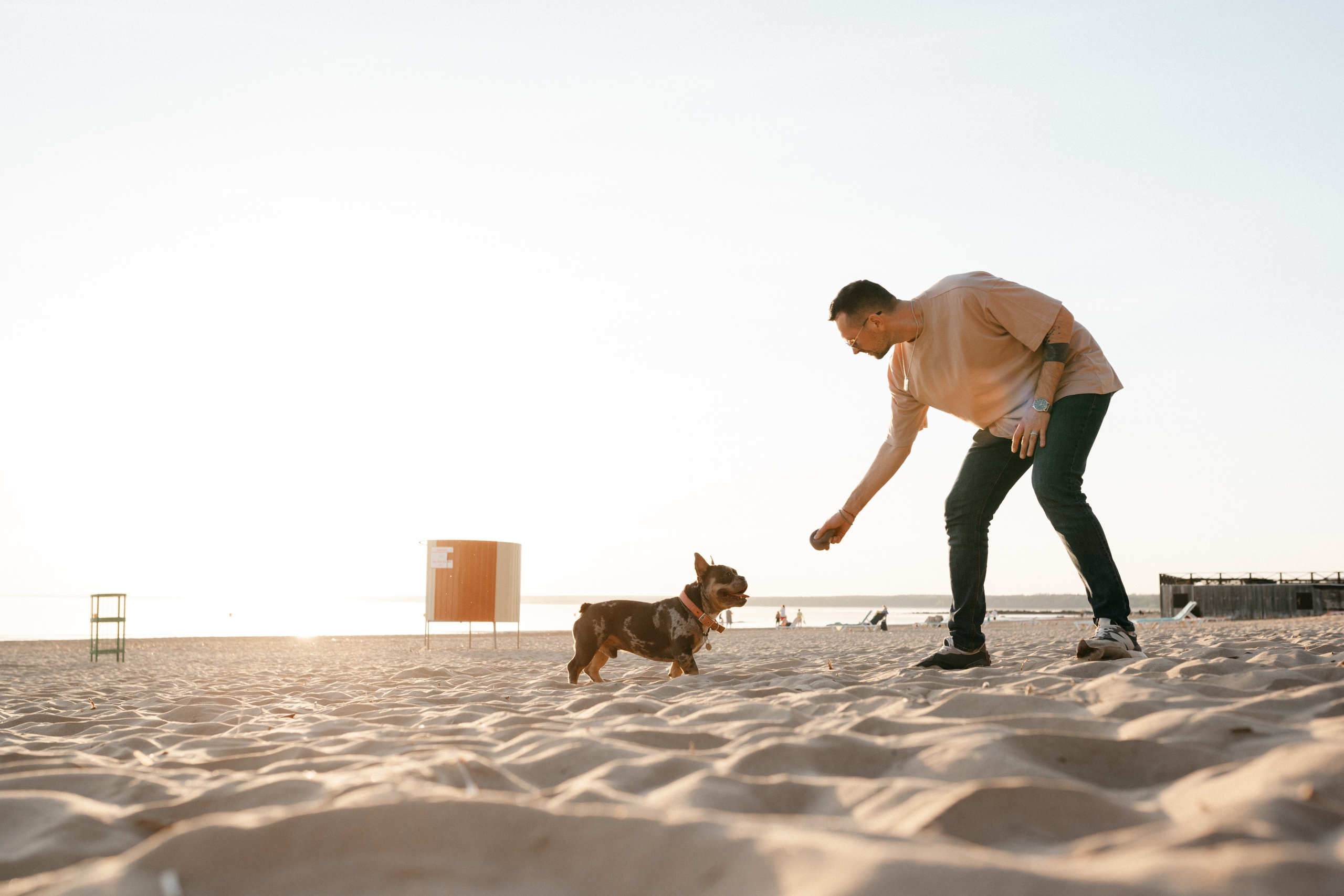 Коля и Бакс. Фотограф анималист в Москве Ольга Агушева