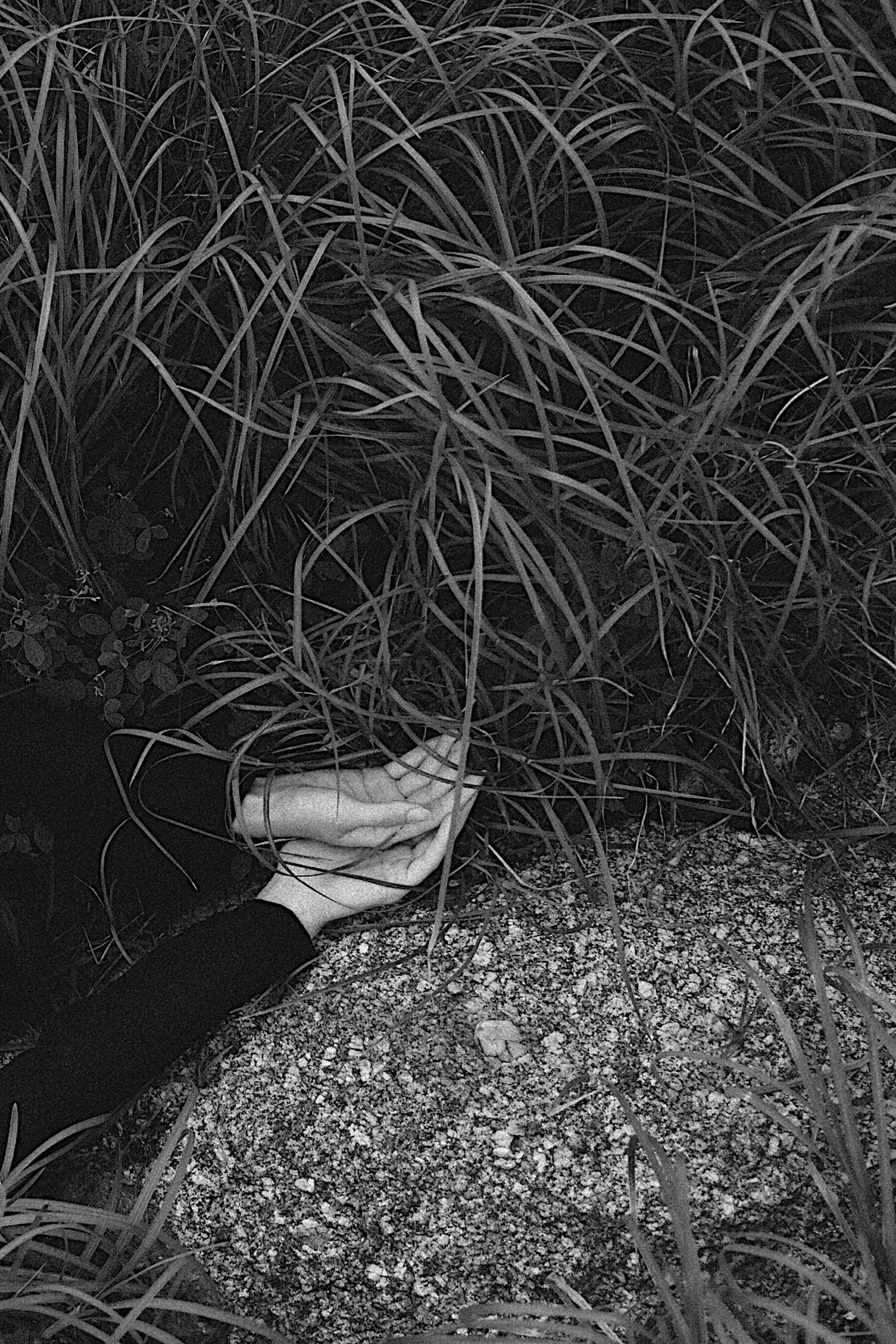 Marina. Photographer Elizaveta Samokrutova