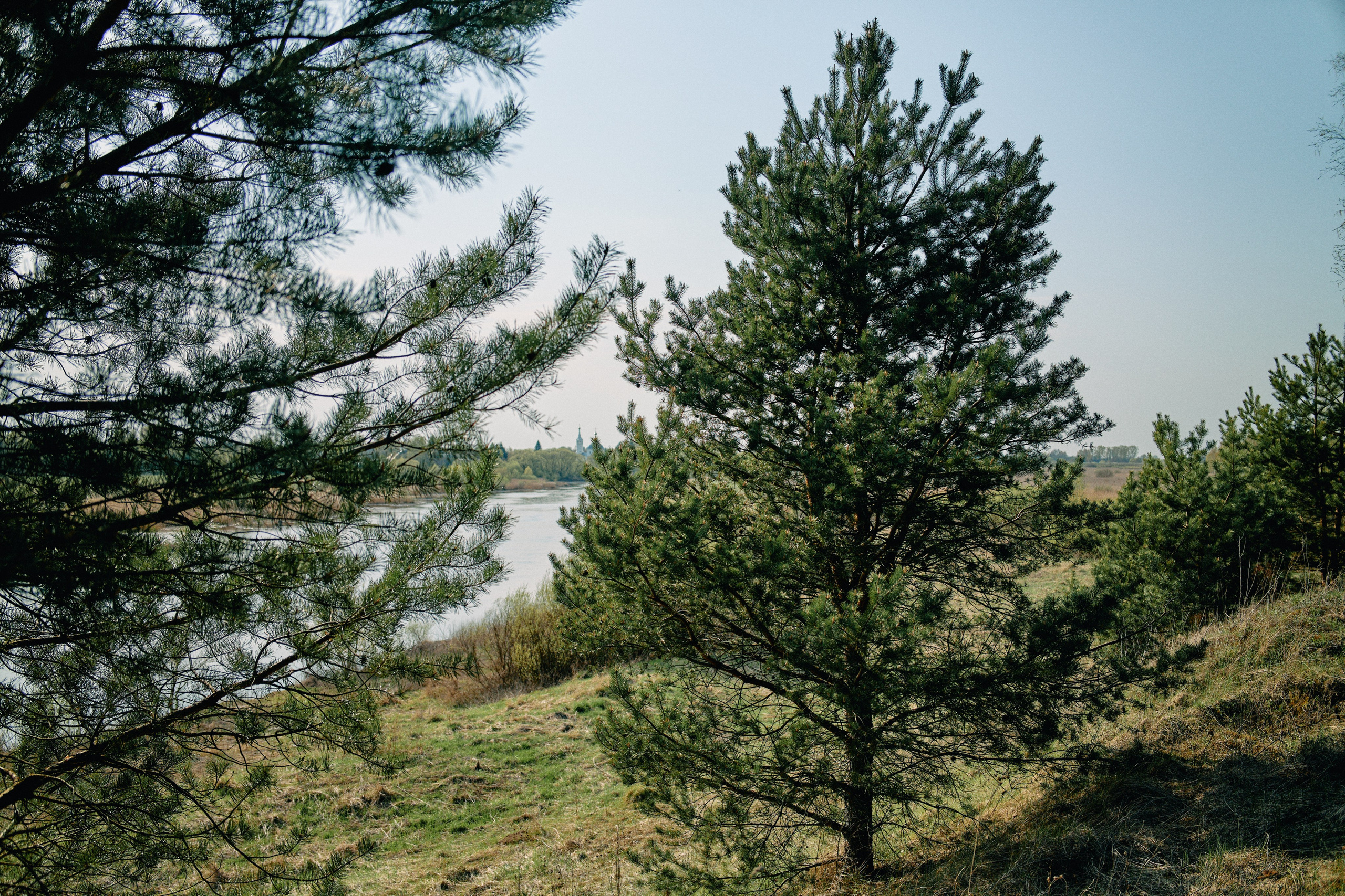 Бутик-отель Поле летом. Профессиональный Фотограф во Владимире, в Москве и в Суздале — Полина Романычева