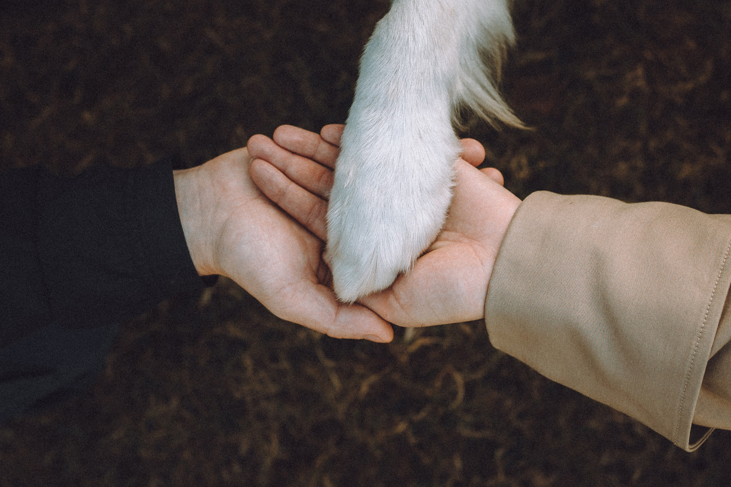 Саша, Рома и Один
