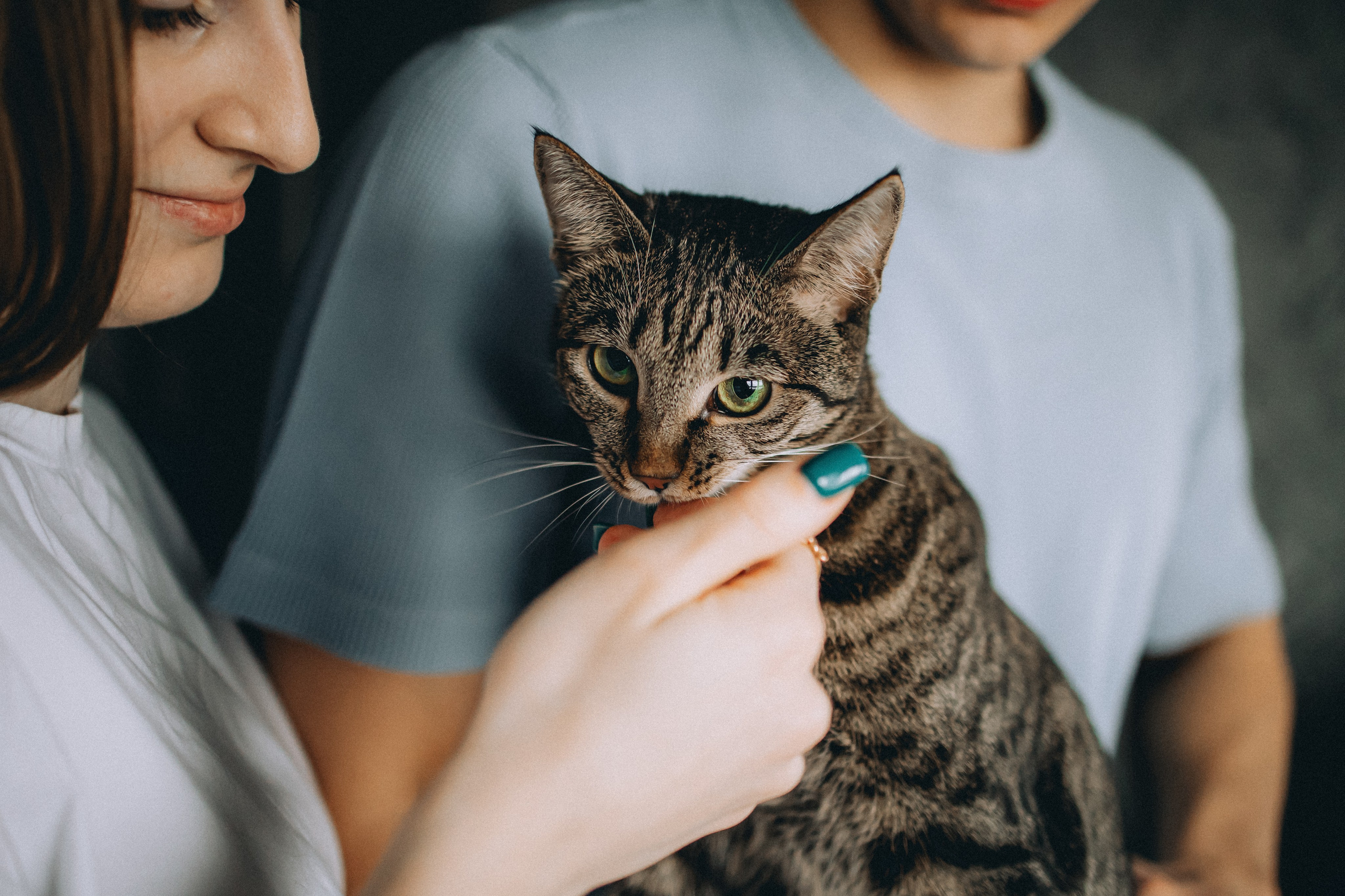 Рыся, Кепа и их семья