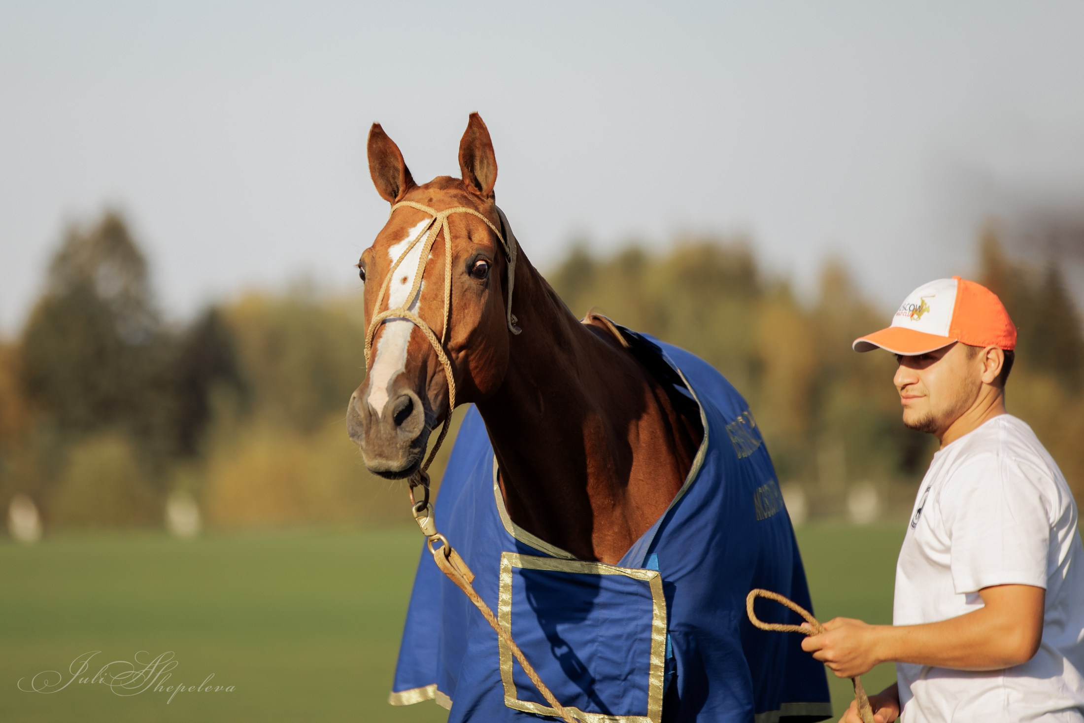 Осенний кубок по конному поло. Детская Конная фотография в Москве Юлия Шепелева
