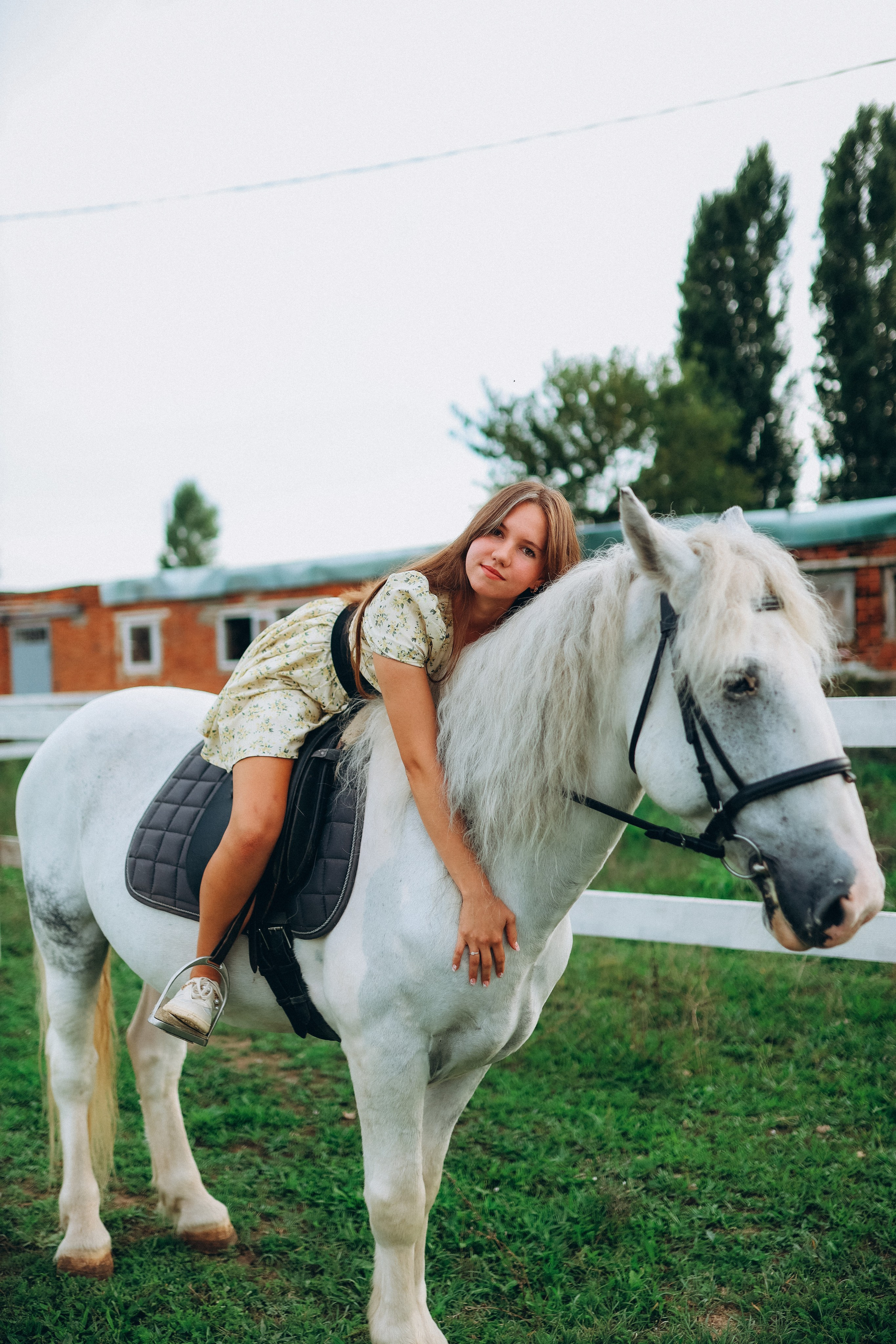 Фото День (Лошадь). Фотограф Анастасия Кучер