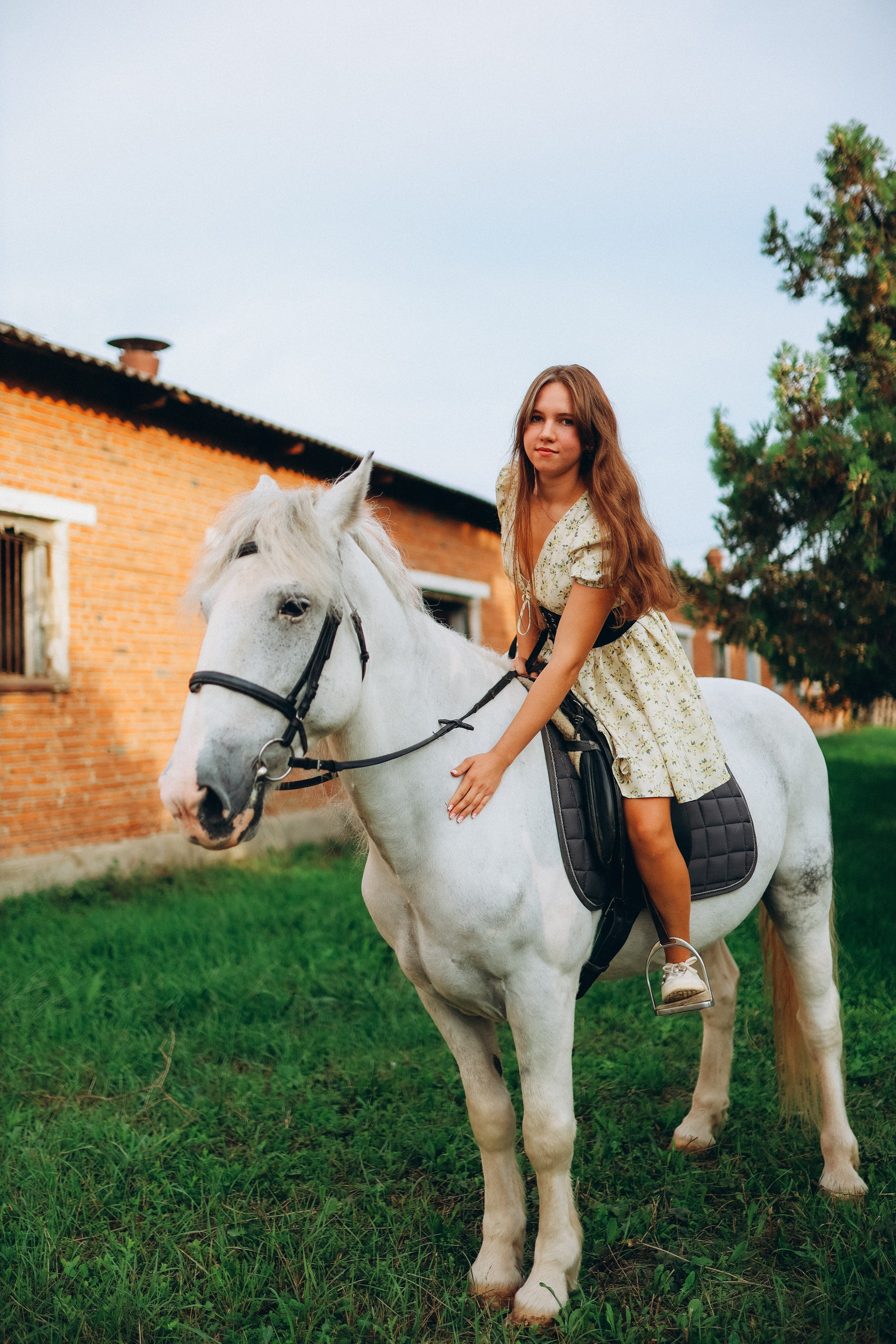 Фото День (Лошадь). Фотограф Анастасия Кучер