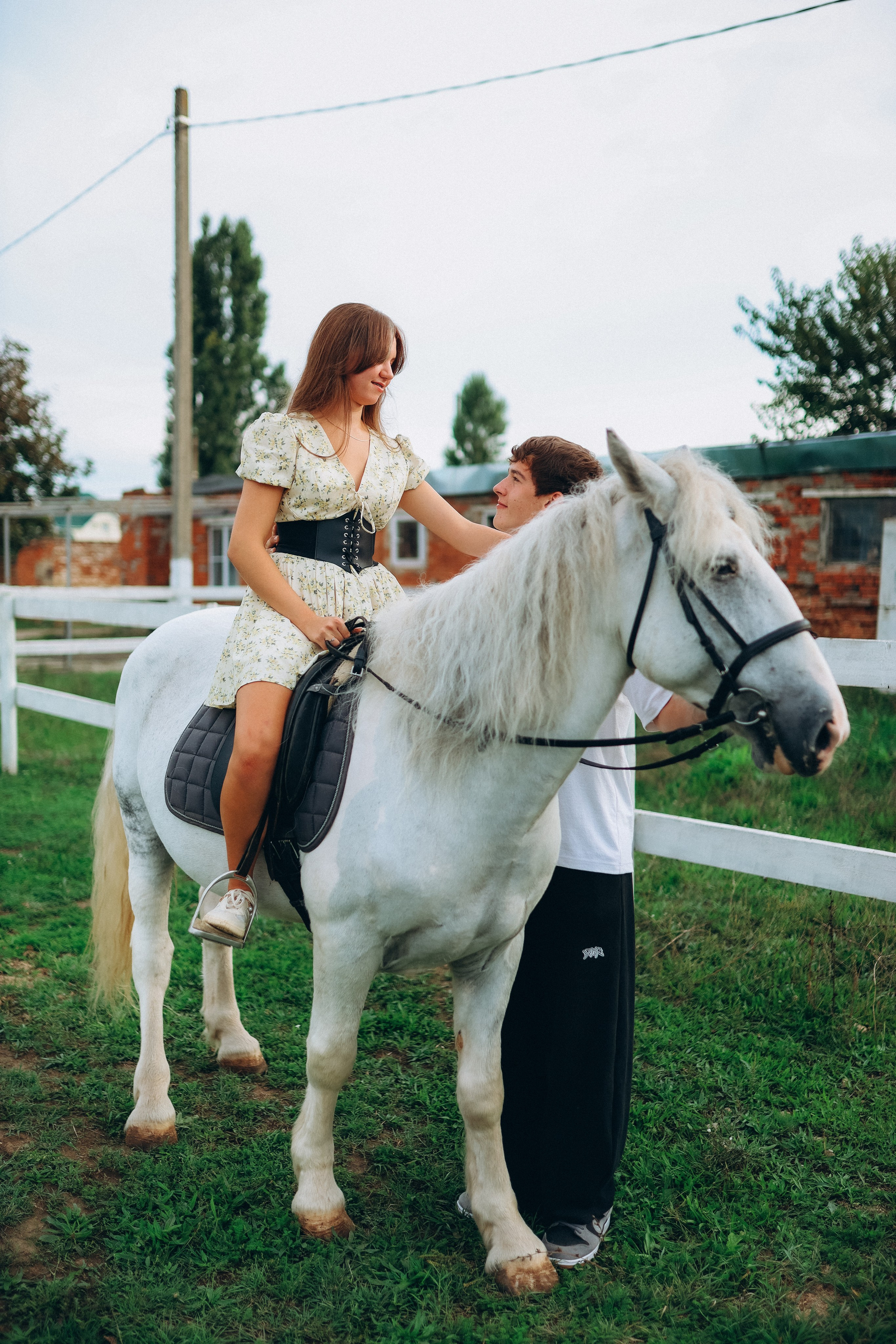 Фото День (Лошадь). Фотограф Анастасия Кучер