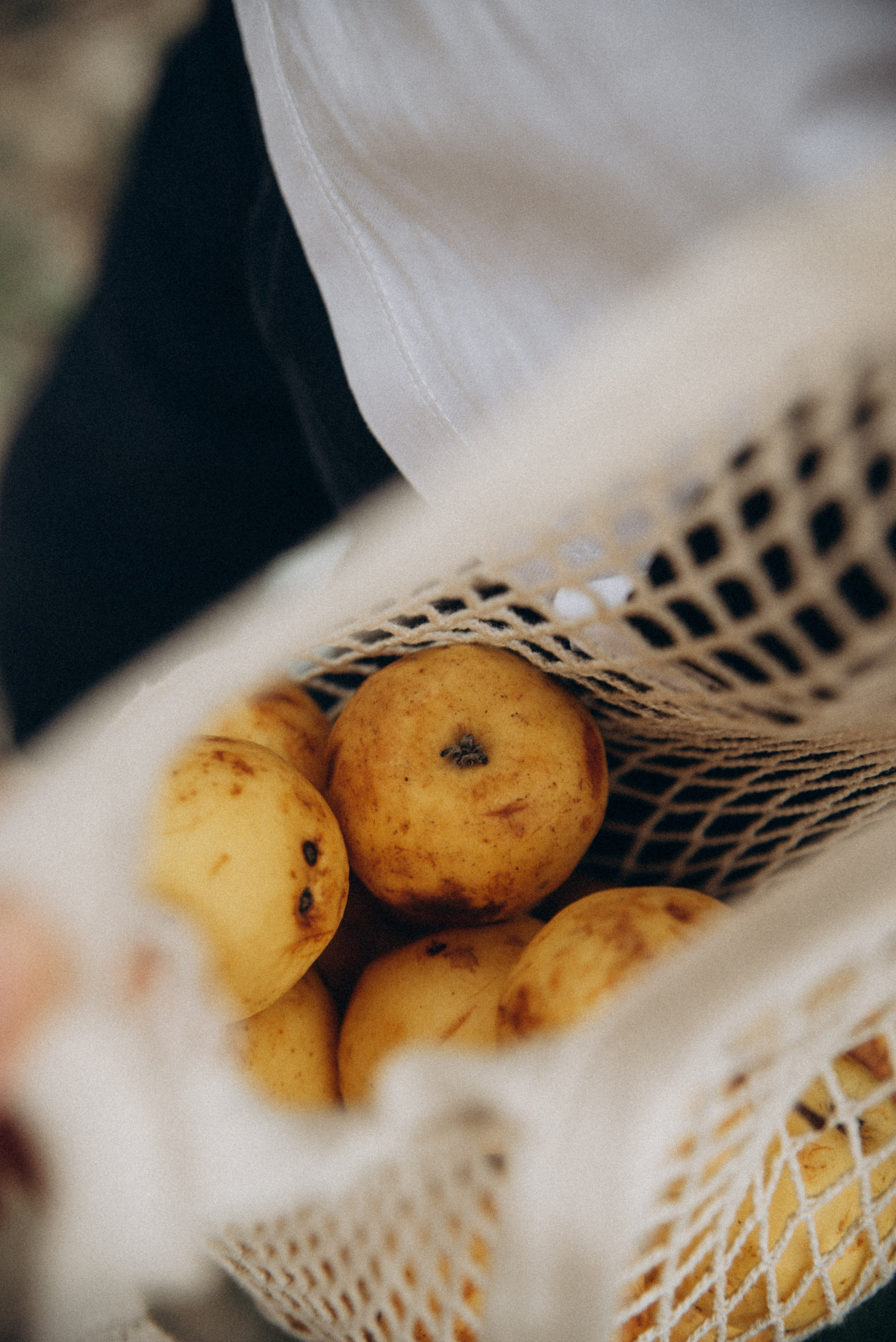 Медвежий приют, Мамкода, Грузия 🇬🇪 «Honey Trip». Anita_photo