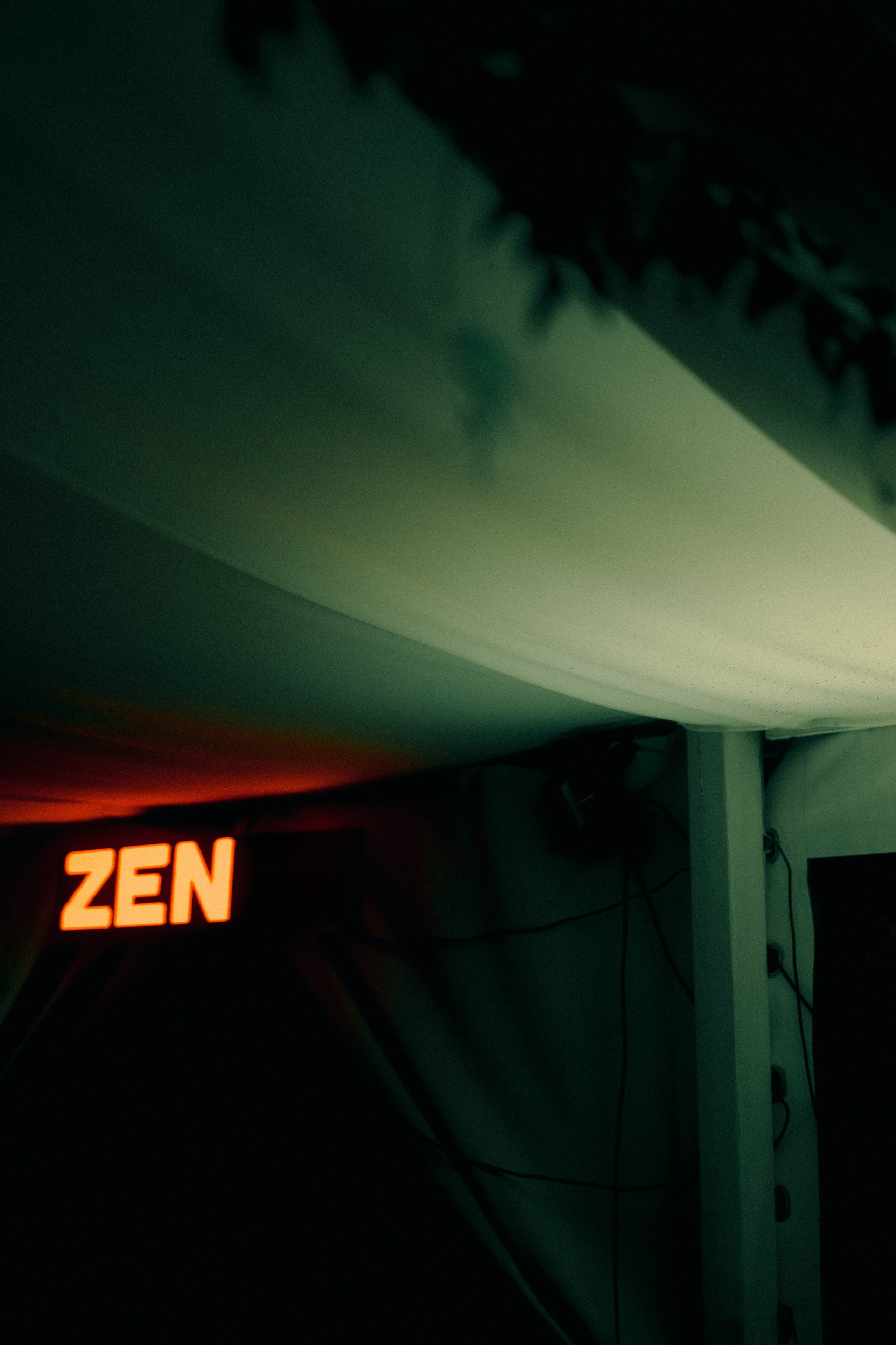 ZEN «Сплетение» 2026. Veronika Popadeikina Photographer