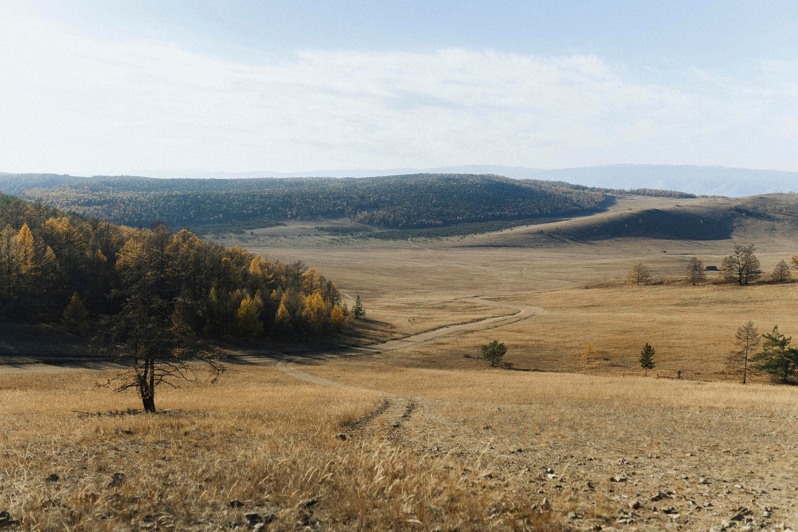 Осенние Узуры. Фотограф Ольхон/ Индия, Регина