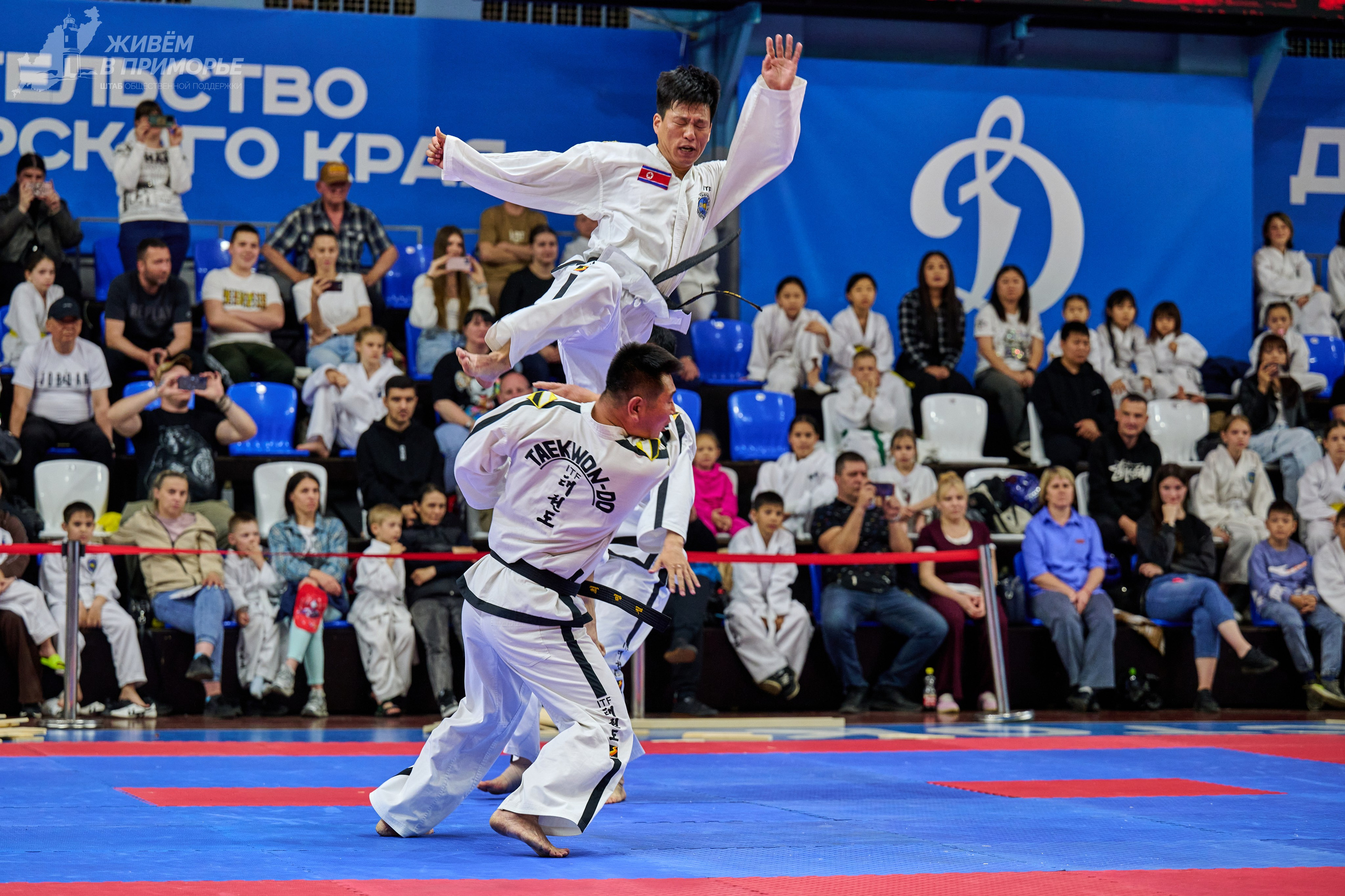Кубок губернатора по тхэквондо. Профессиональный репортажный фотограф Инесса Иминова
