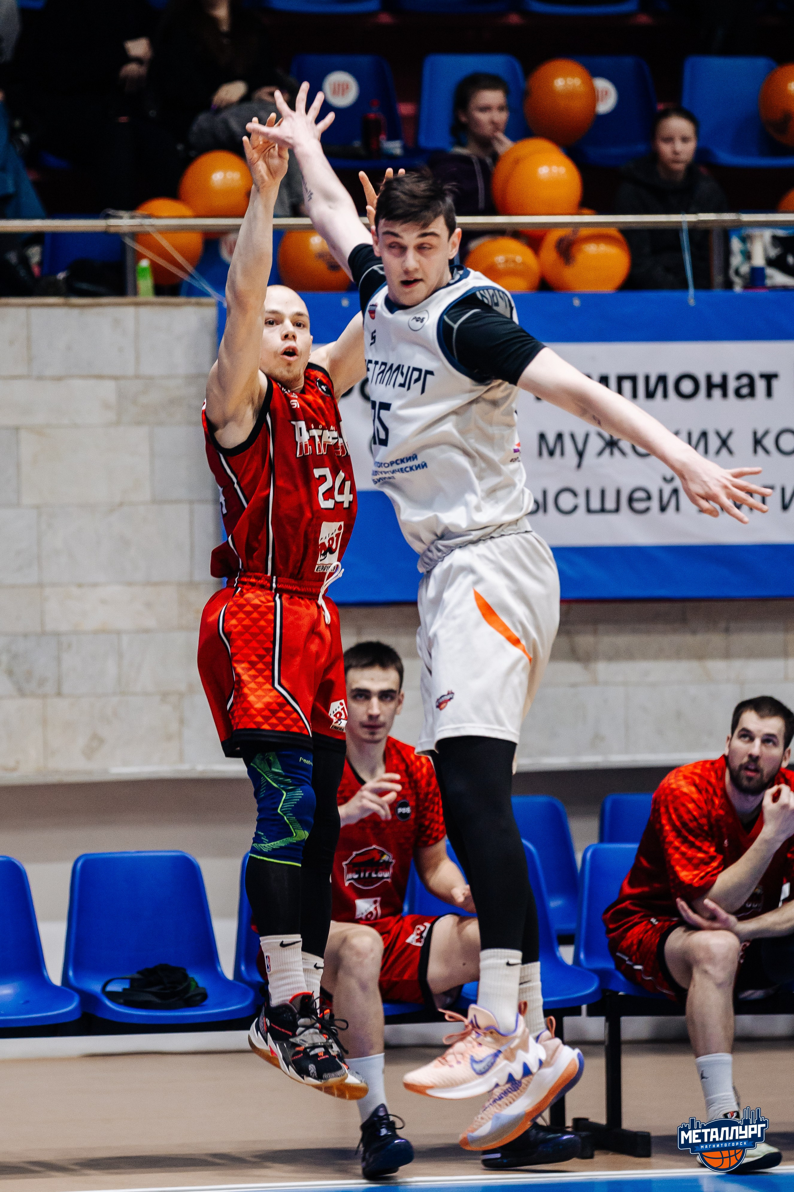 «Металлург» vs «Чебоксарские ястребы» // 07.04.24. Денис Прохоров Фотограф в г. Магнитогорск