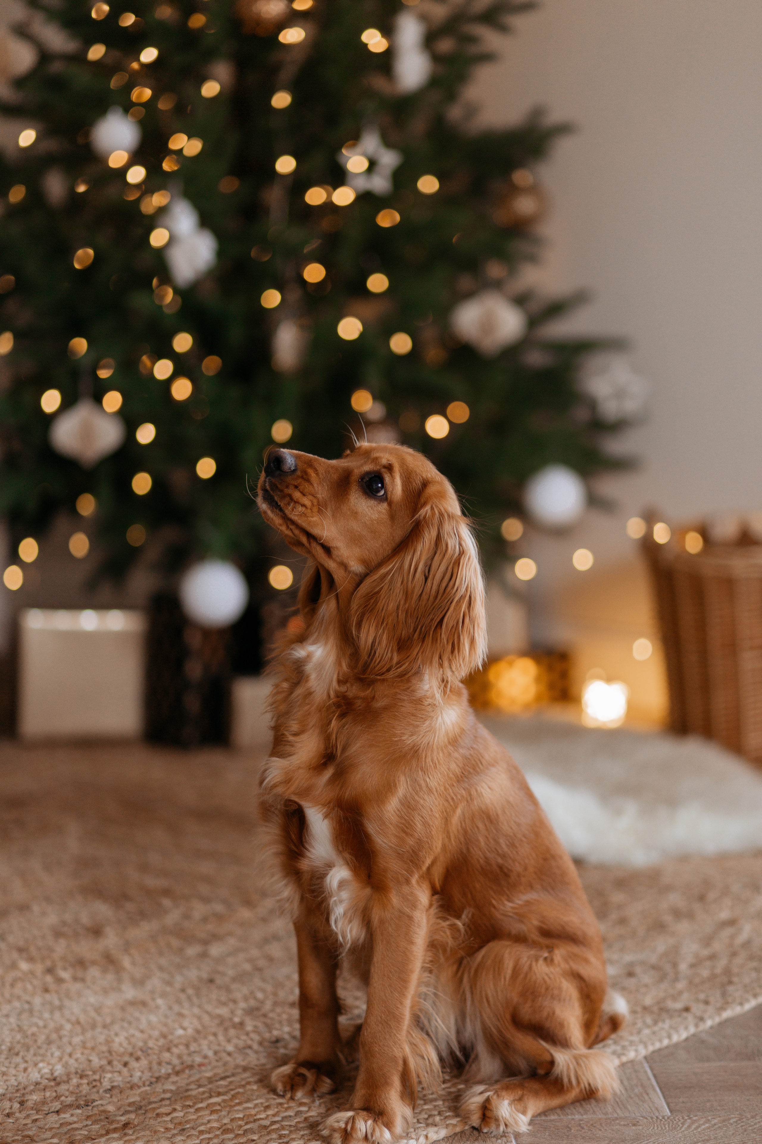 Артём и Саша. Самый теплый фотограф в Краснодаре Рябоконь Ксения