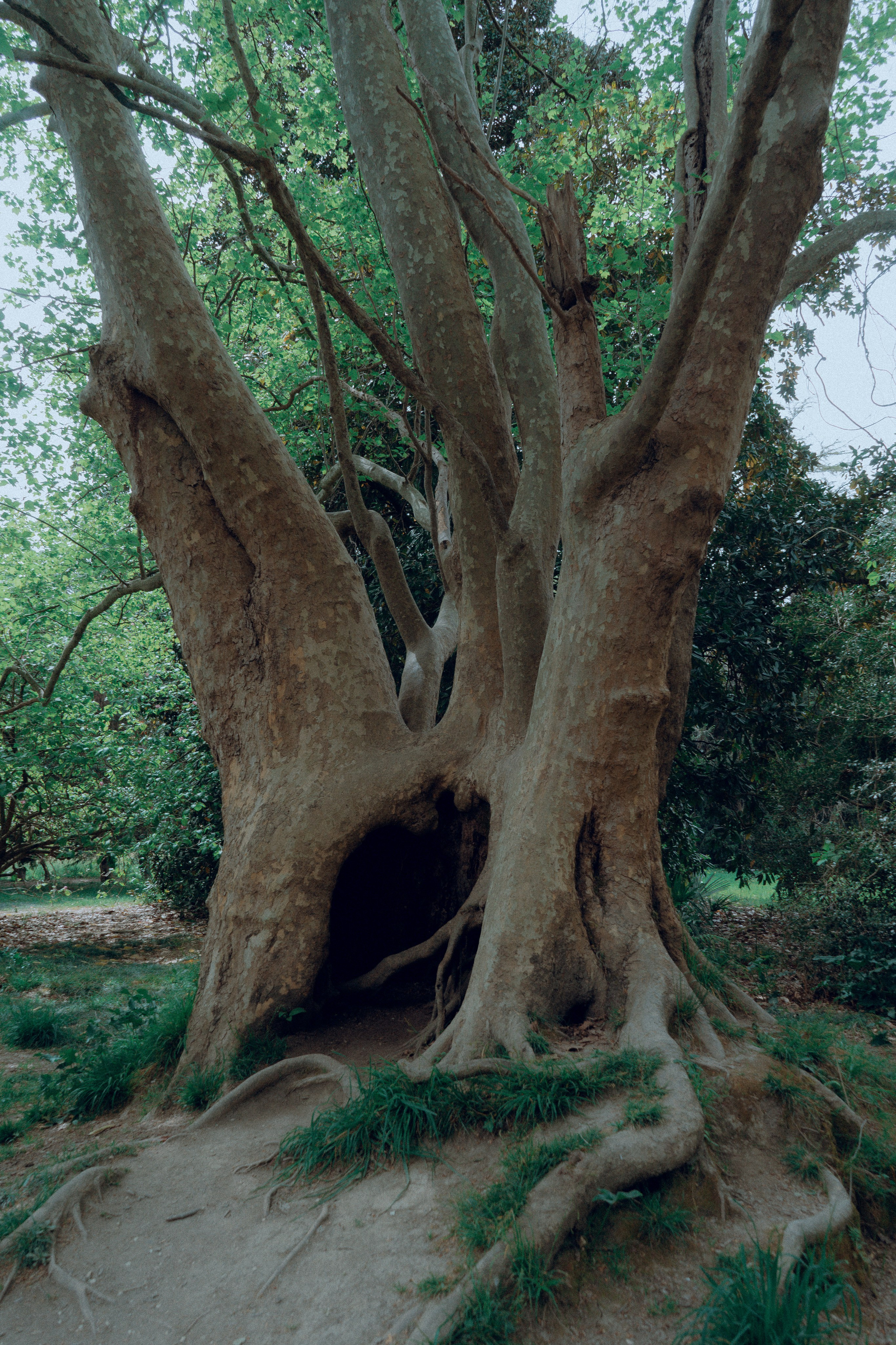 Сочи и Абхазия. Денис Марков — фотограф в Екатеринбурге