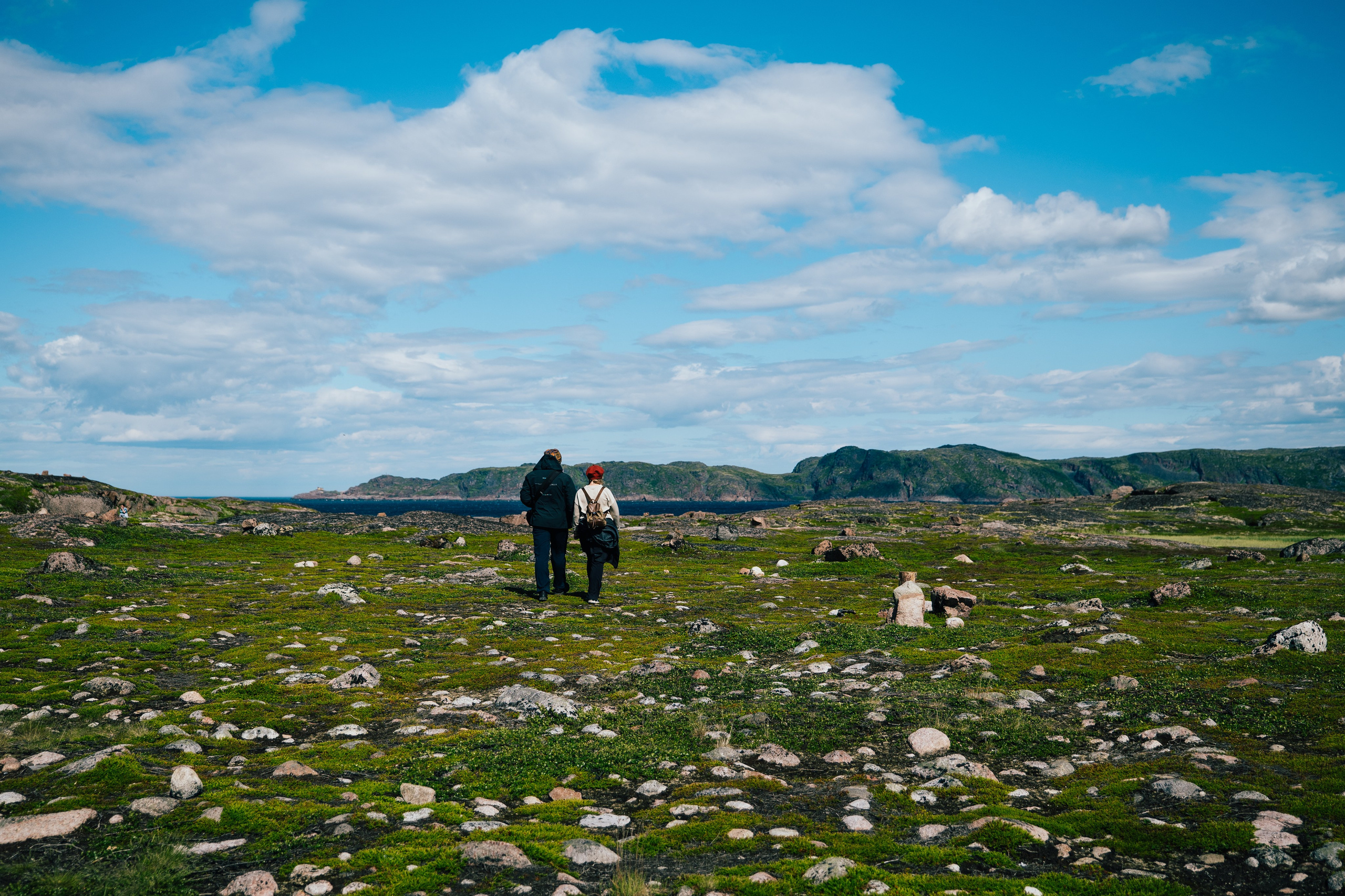 ТЕРИБЕРКА. Создание контента | Фото | Видеосъемка | Александр Ярков