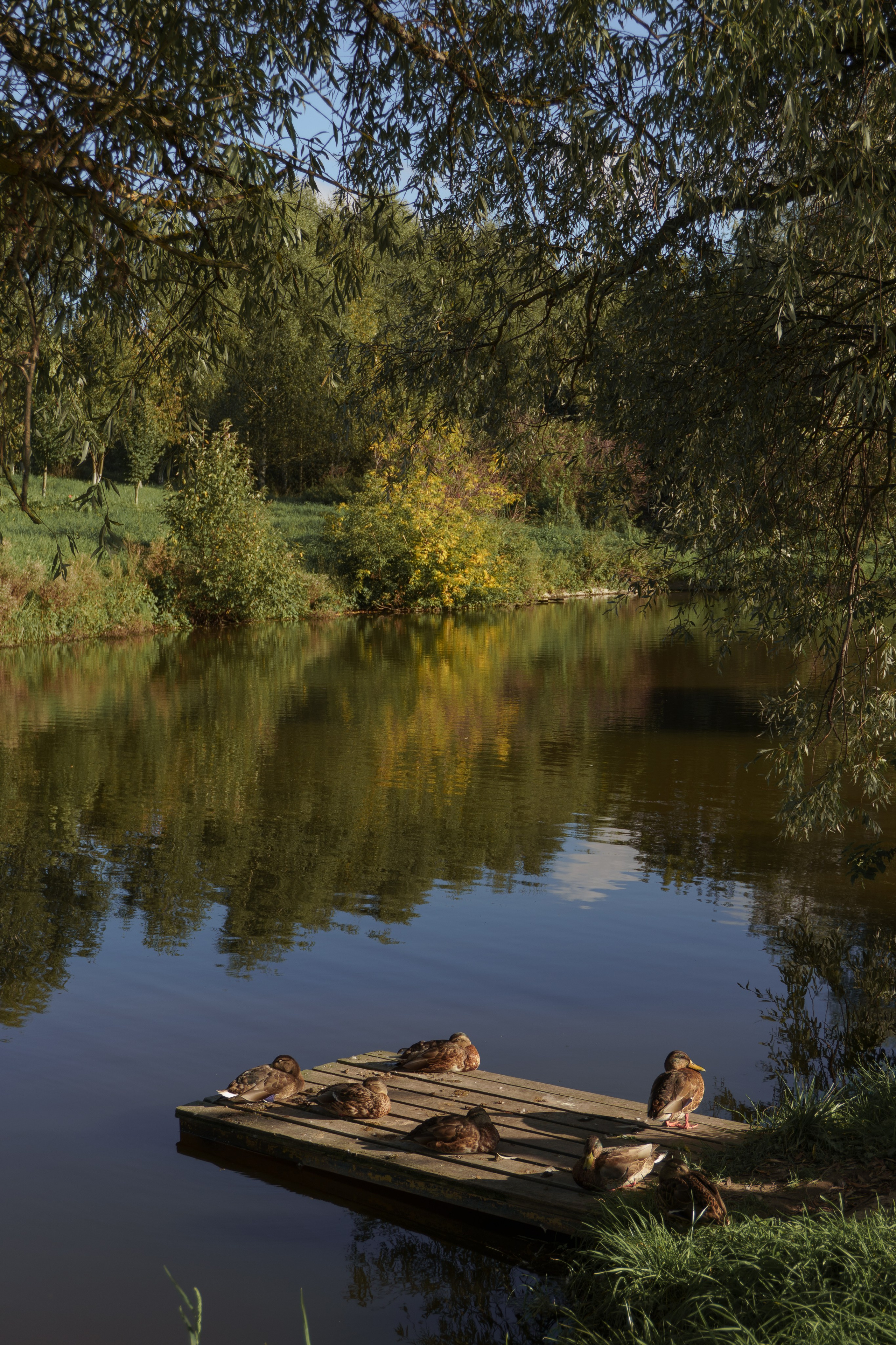 Аня. Фотограф Нижний Новгород