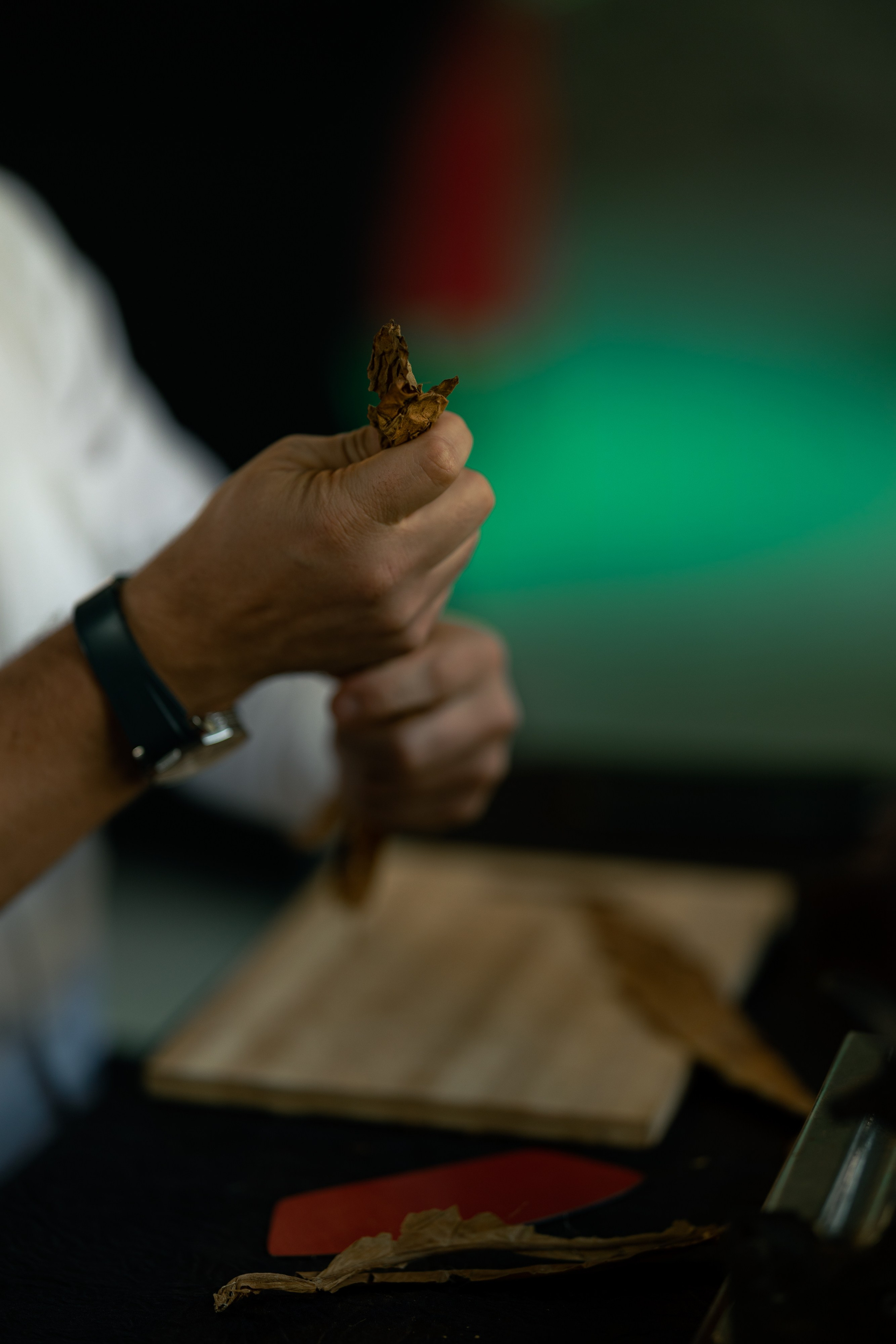 Welcome part. Фотограф Юлия Назарова