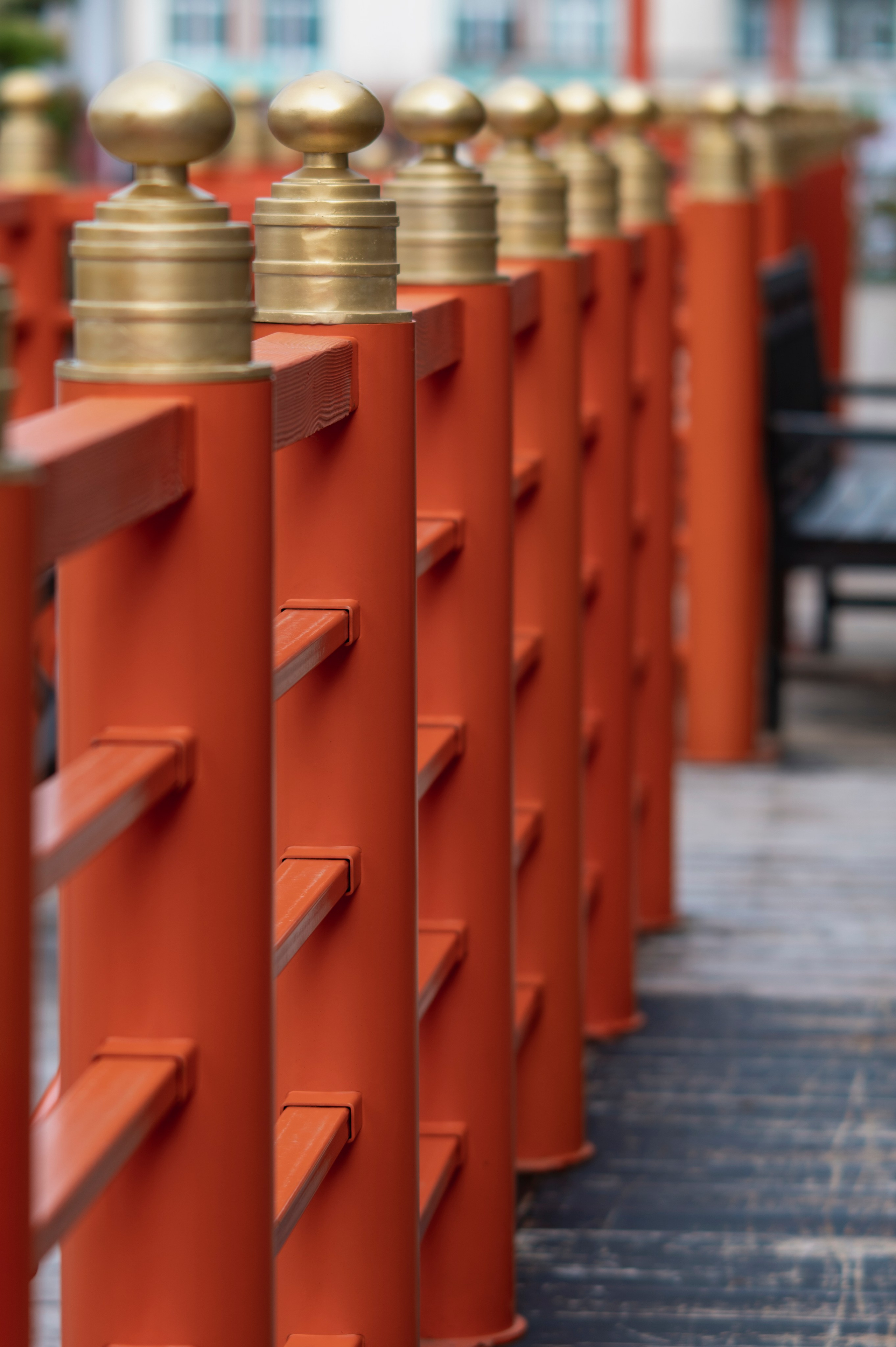 Фотопрогулка апрель 2022. Фотограф Роман Адлер