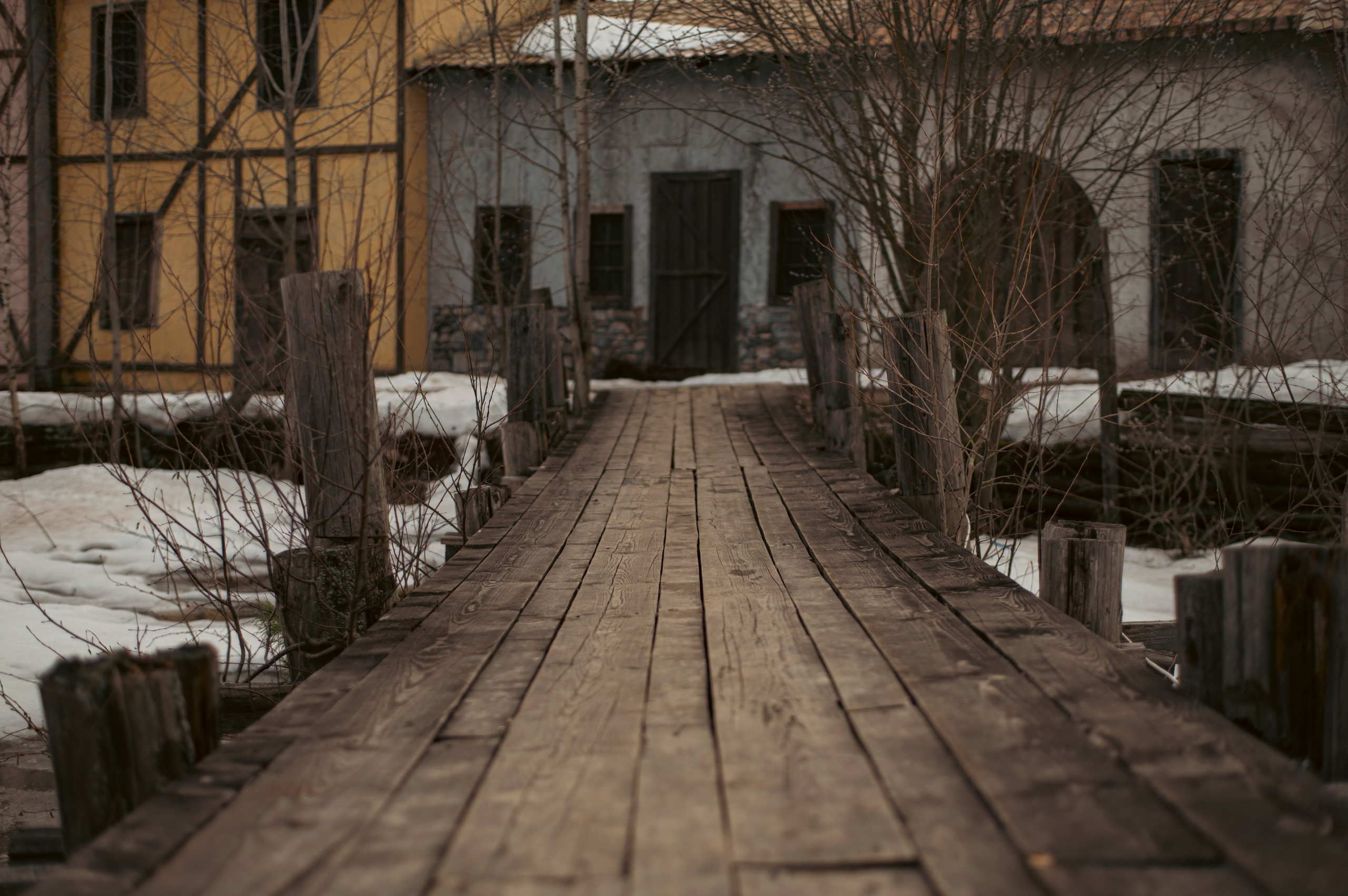 Фотопрогулка апрель 2022. Фотограф Роман Адлер