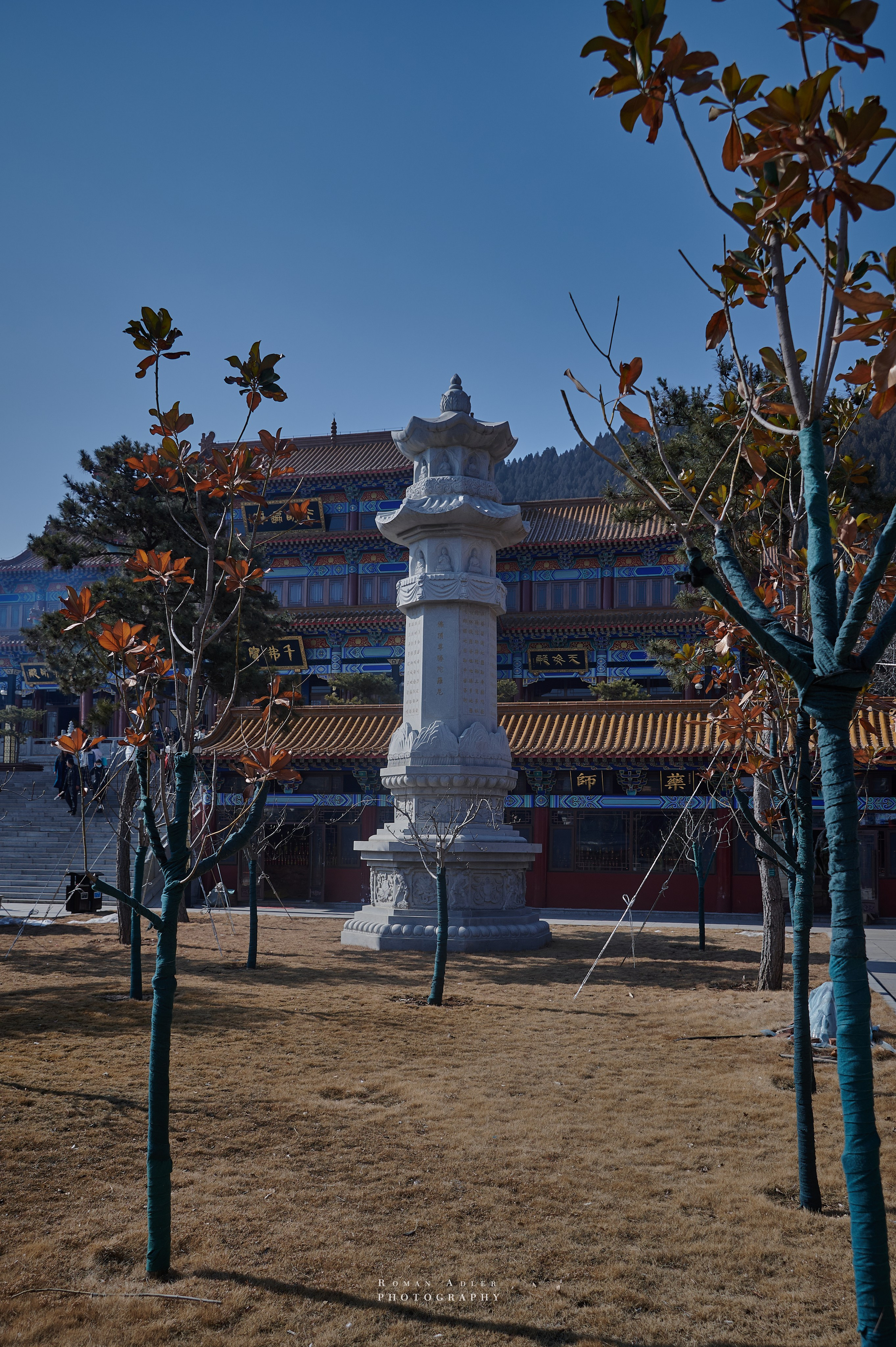 Храм Гуанфу (Процветания). Цинчжоу. Фотограф Роман Адлер