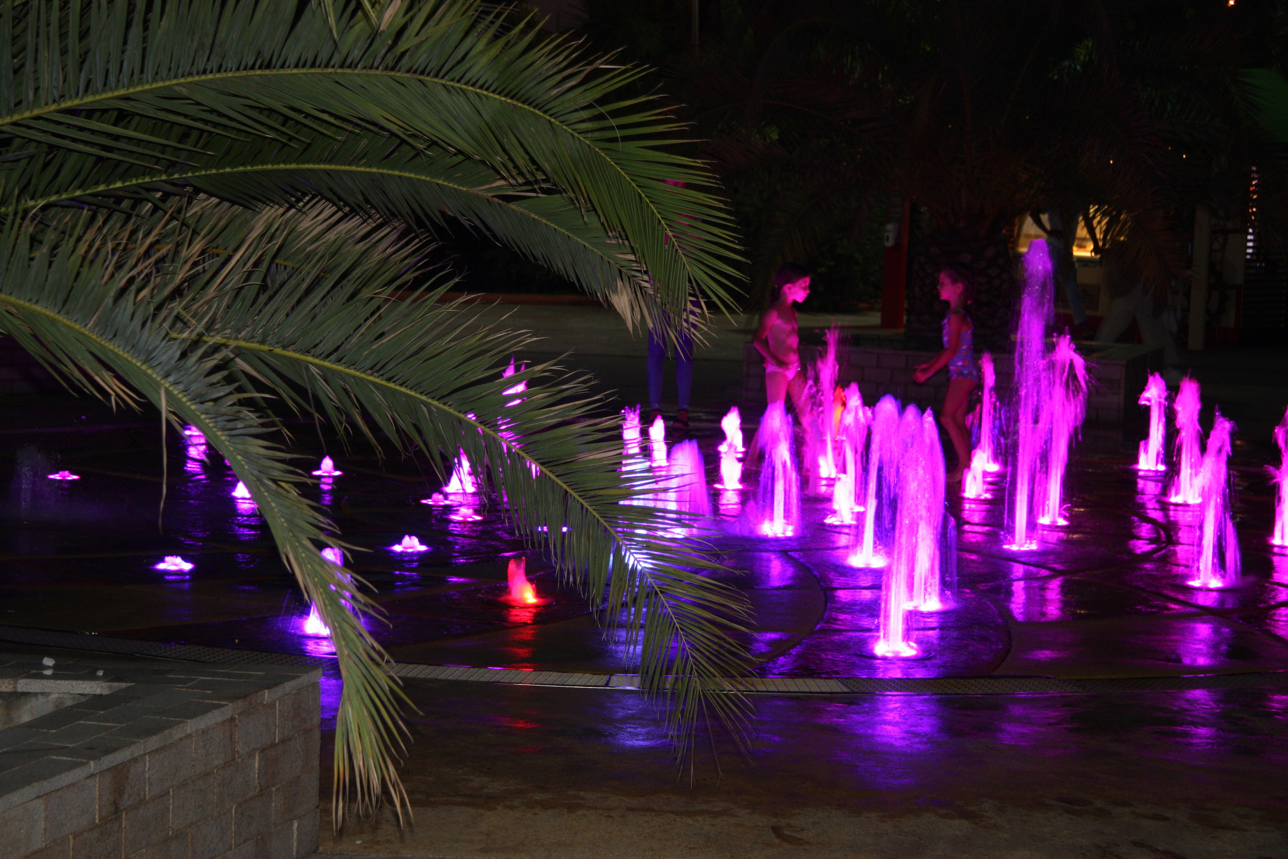 Первые кадры. Сочи — парк. Фотограф Роман Адлер