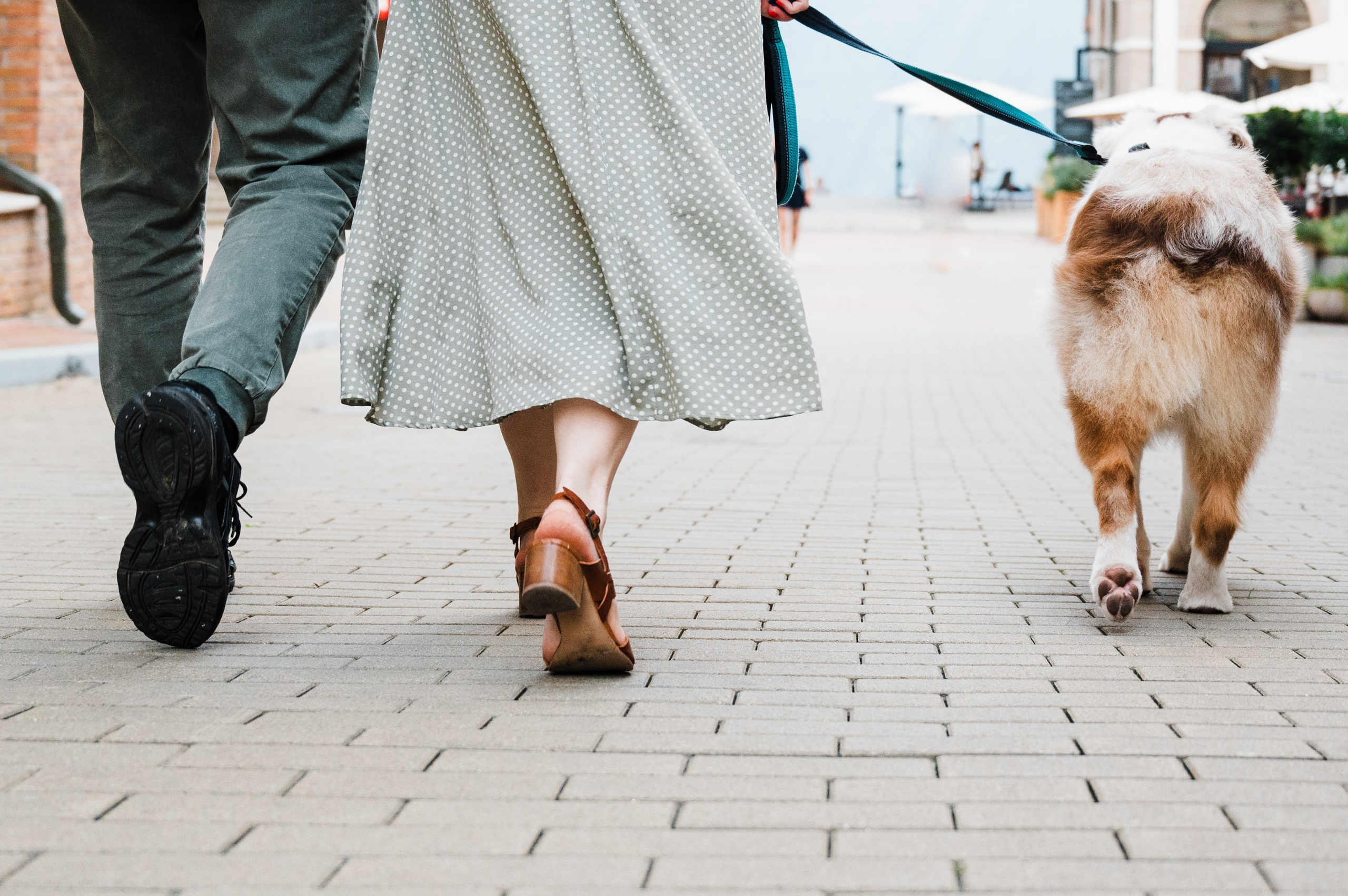 Фотосессия Красная Поляна. Свадебный и семейный фотограф в Краснодаре Марина Стёпа