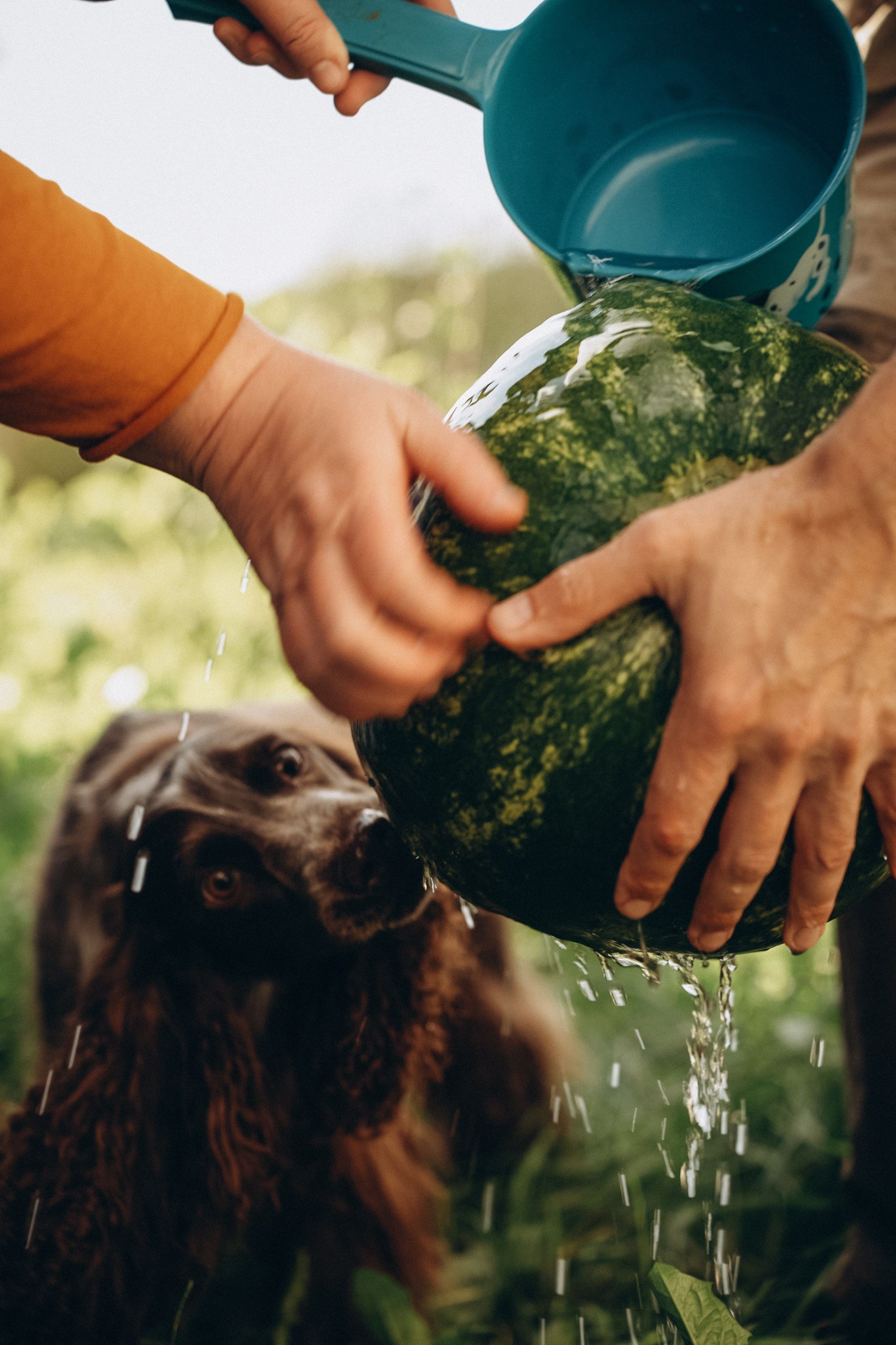Семейная история. Семейный свадебный фотограф Екатеринбург Первоуральск Шарнина Алёна